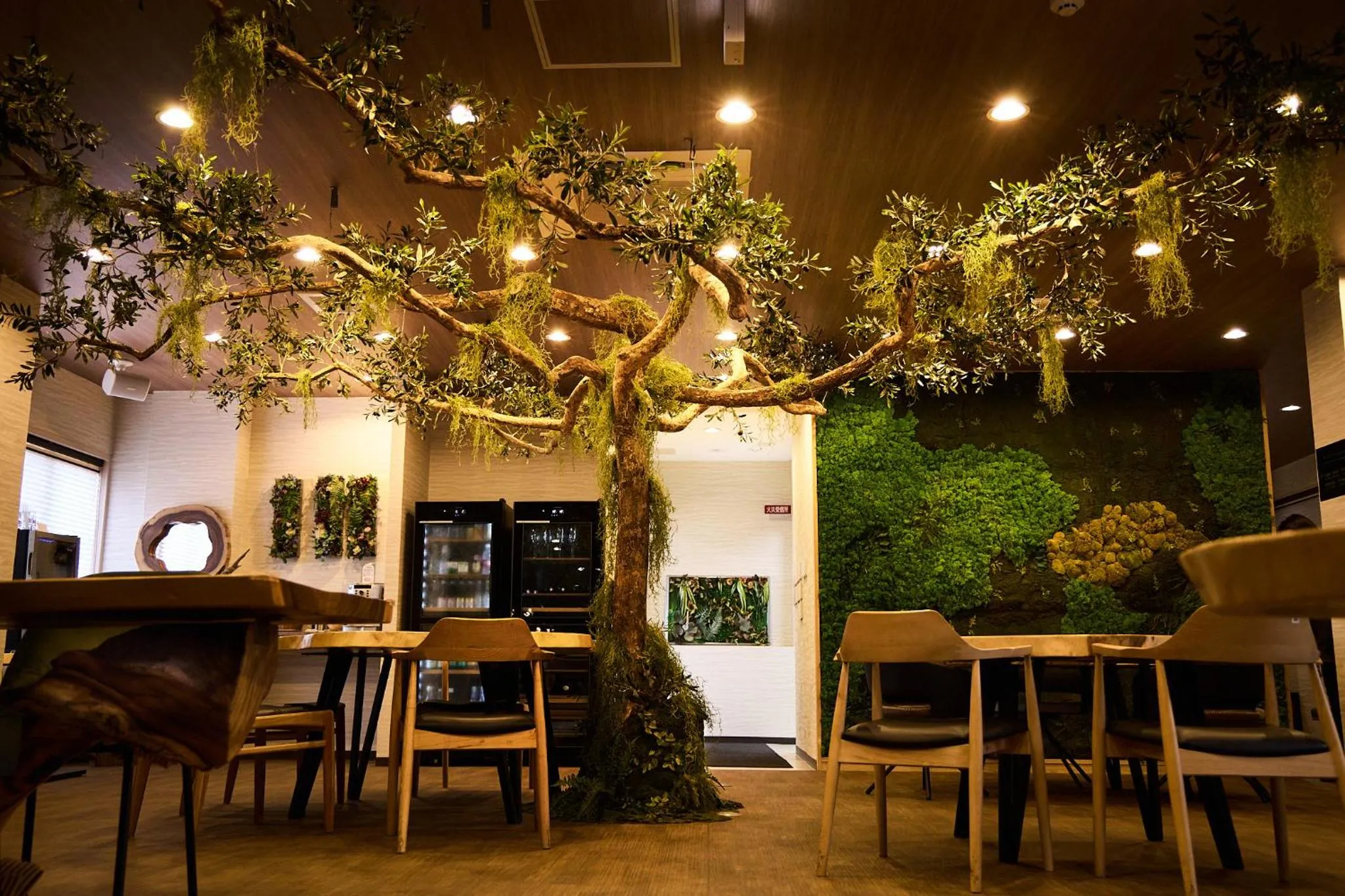 Yumura Onsen MIDORIYA