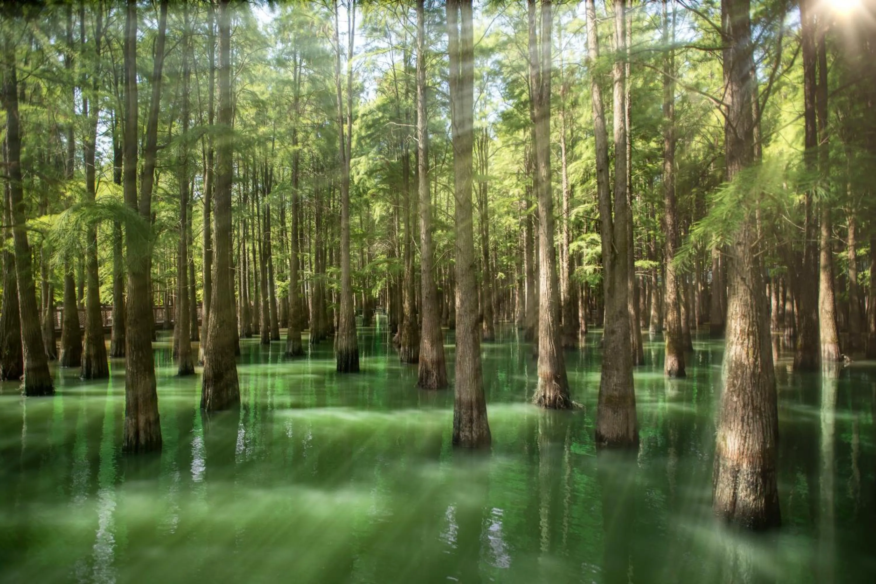 Nearby landmark in Qingshan Lake Tianlan Hotel Hangzhou