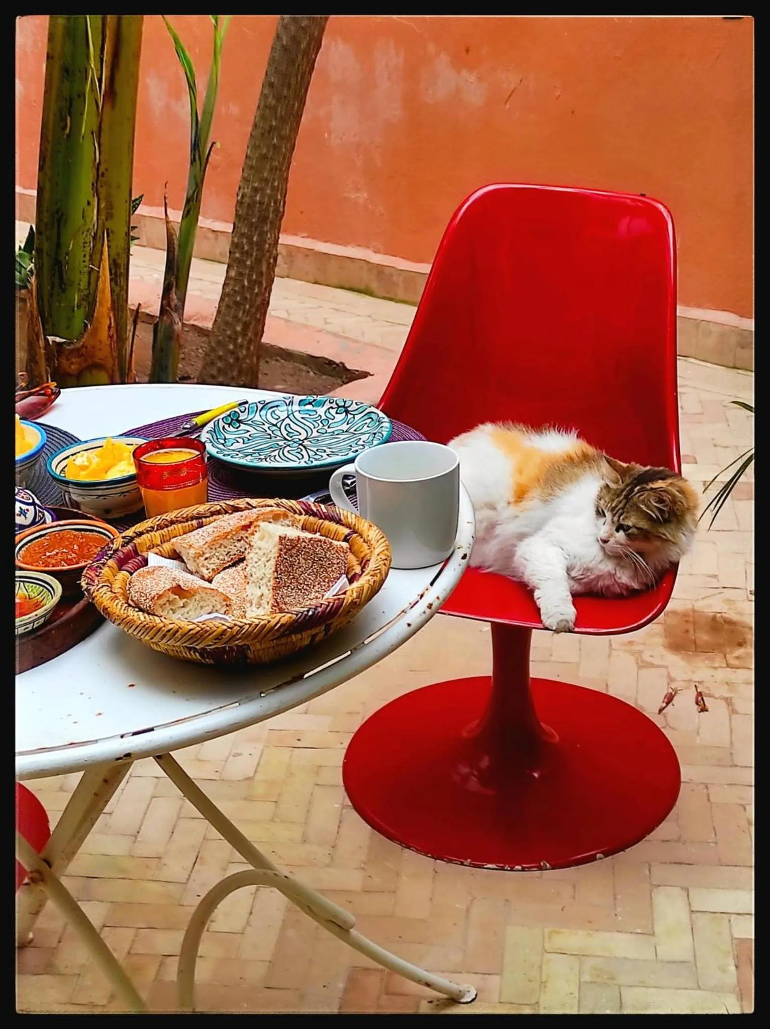 Riad Dar Dayana