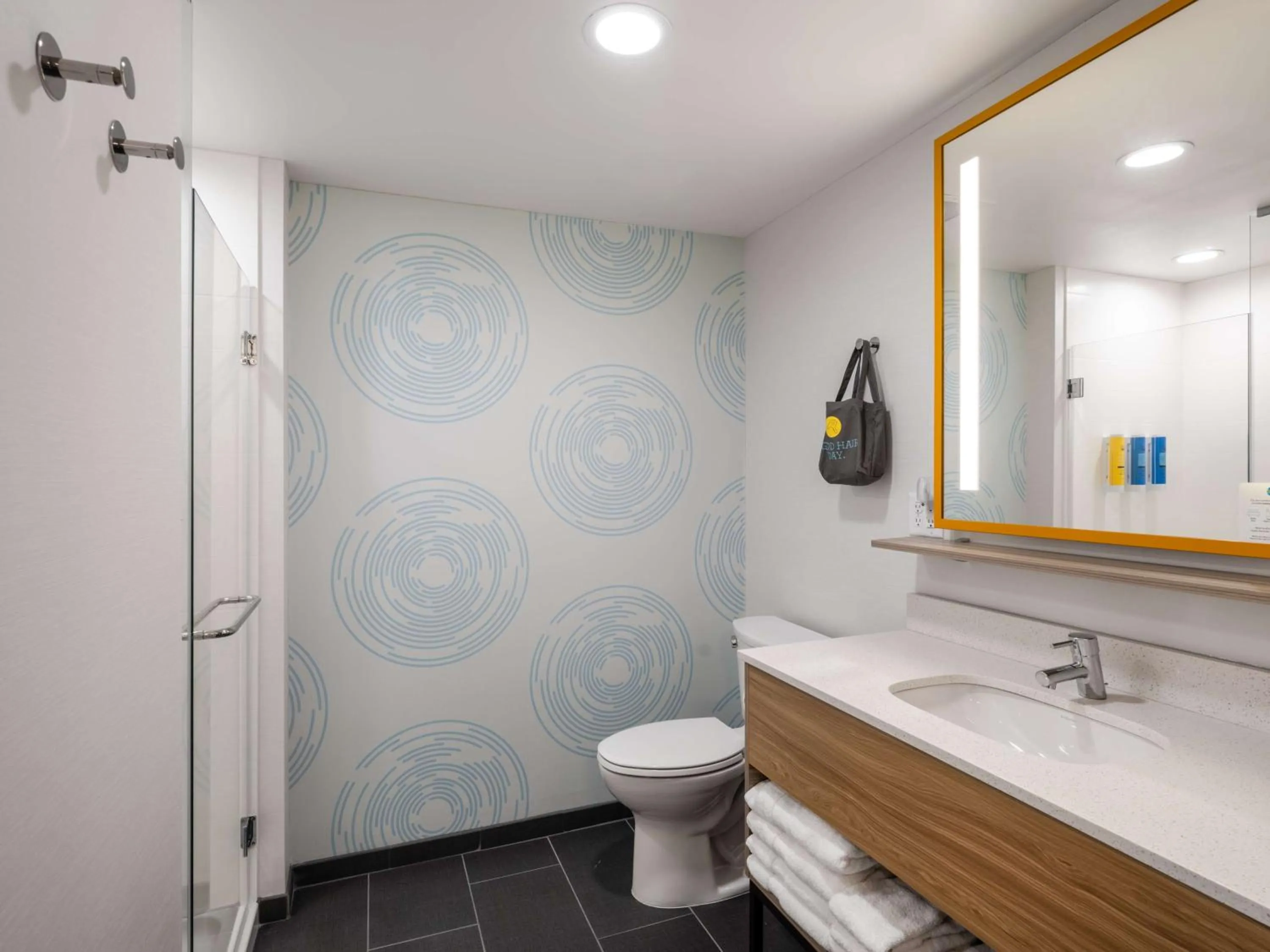 Bathroom in Tru By Hilton Chesapeake- Greenbrier