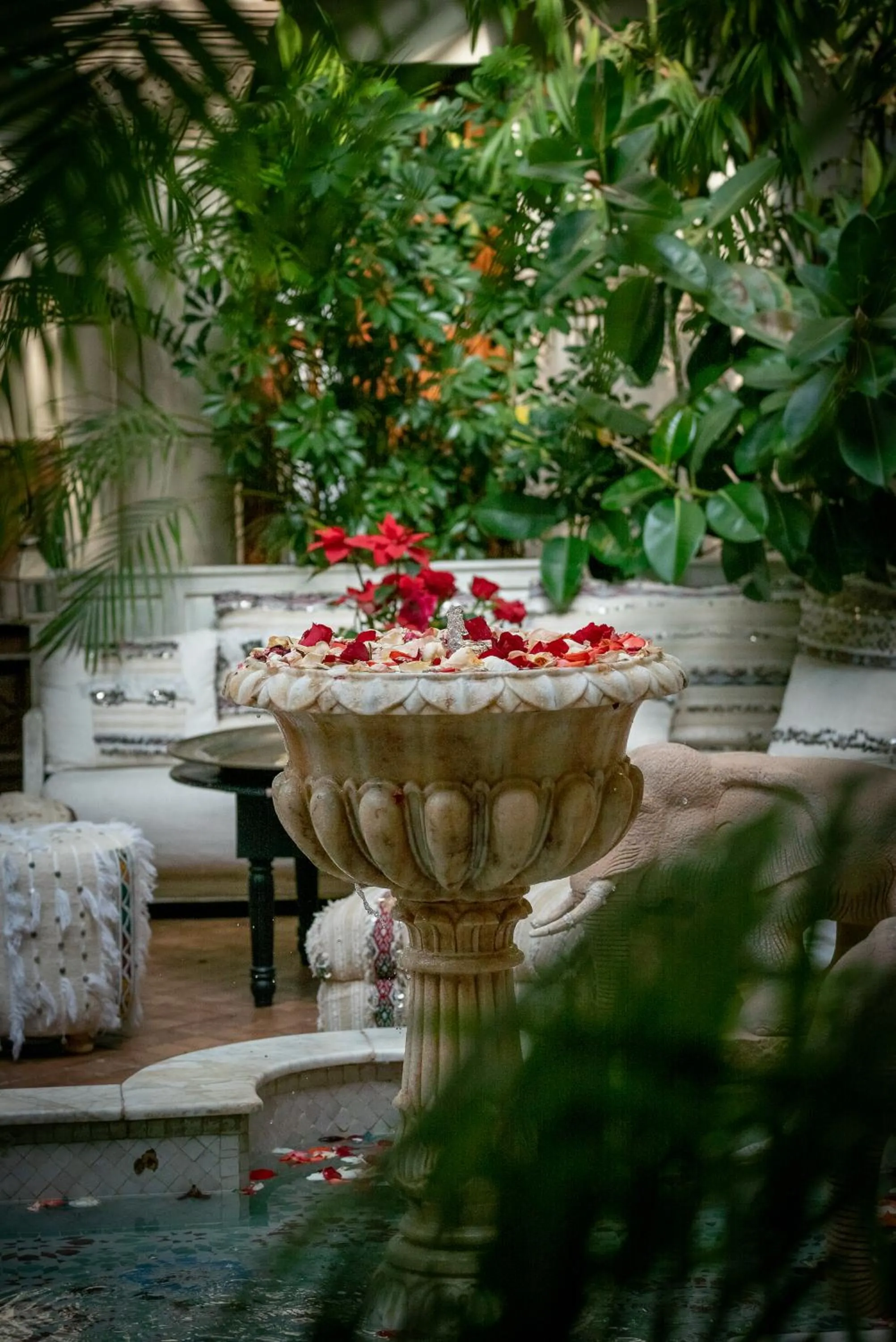 View (from property/room) in Demeures d'Orient Riad & Spa