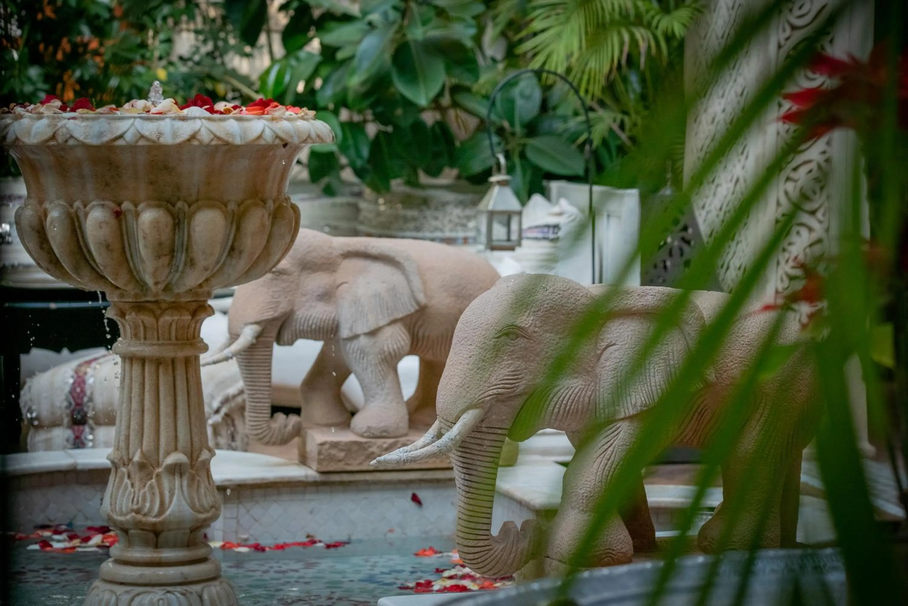 Patio in Demeures d'Orient Riad & Spa
