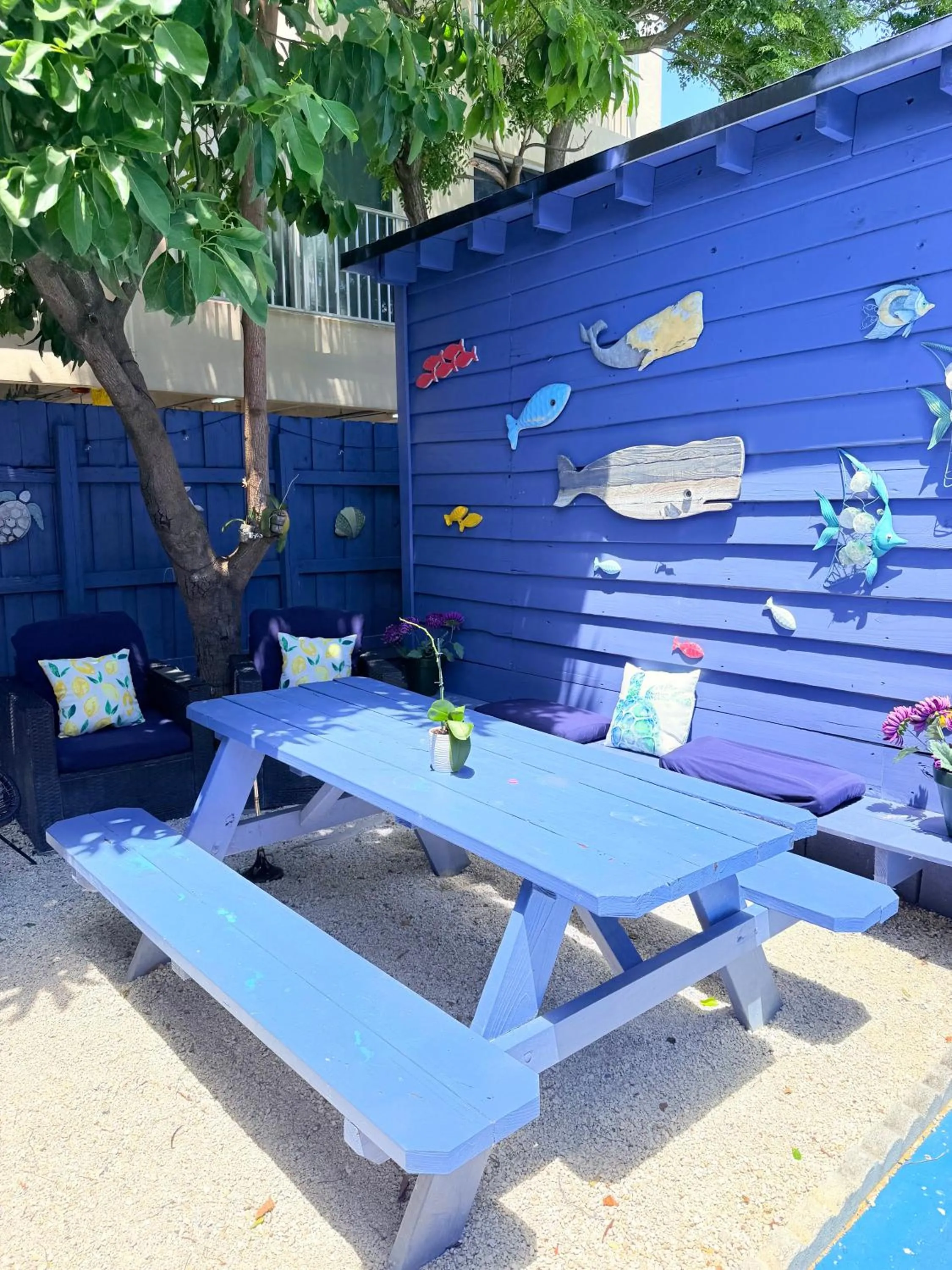Blue Little Havana