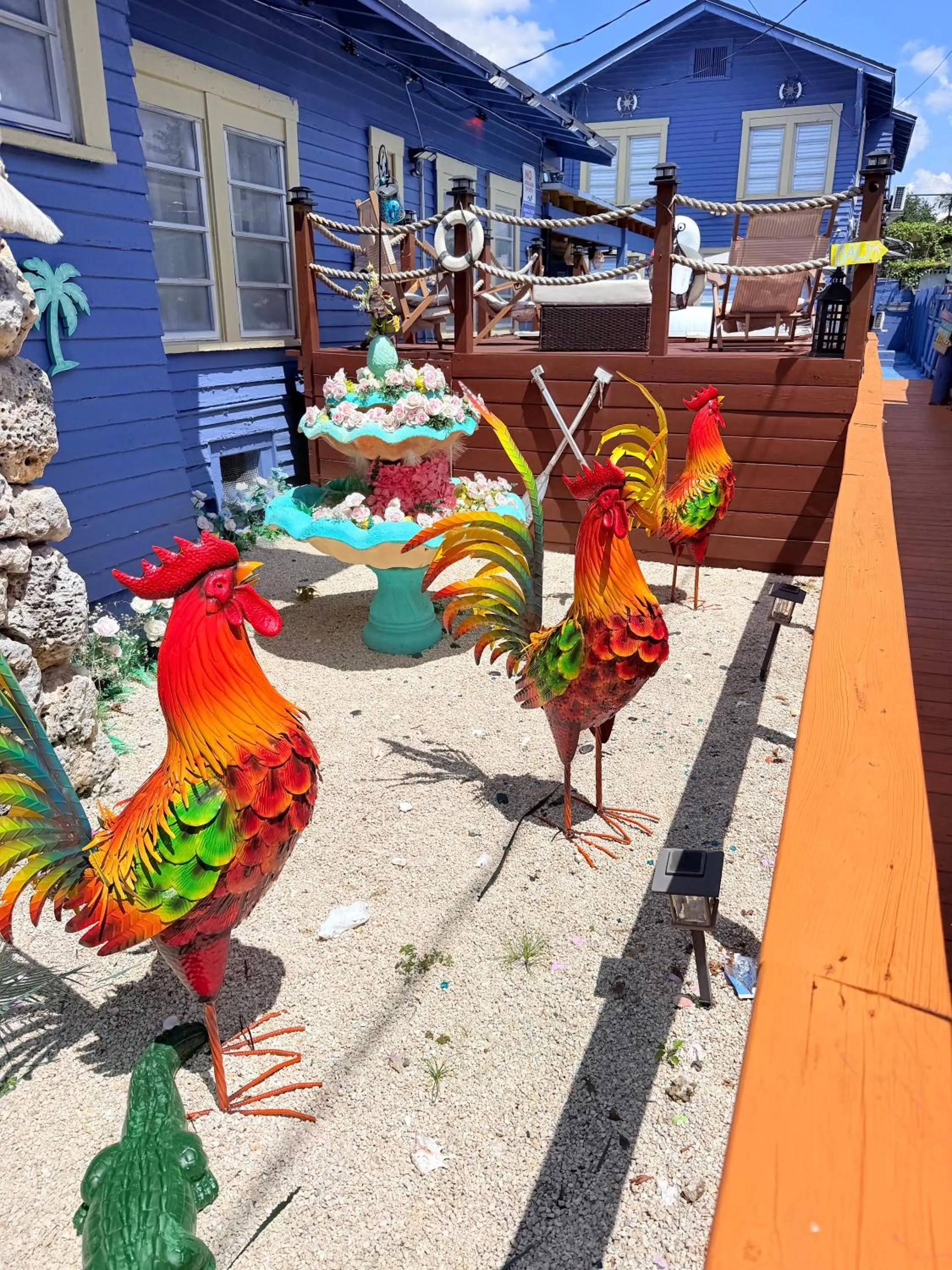 Blue Little Havana
