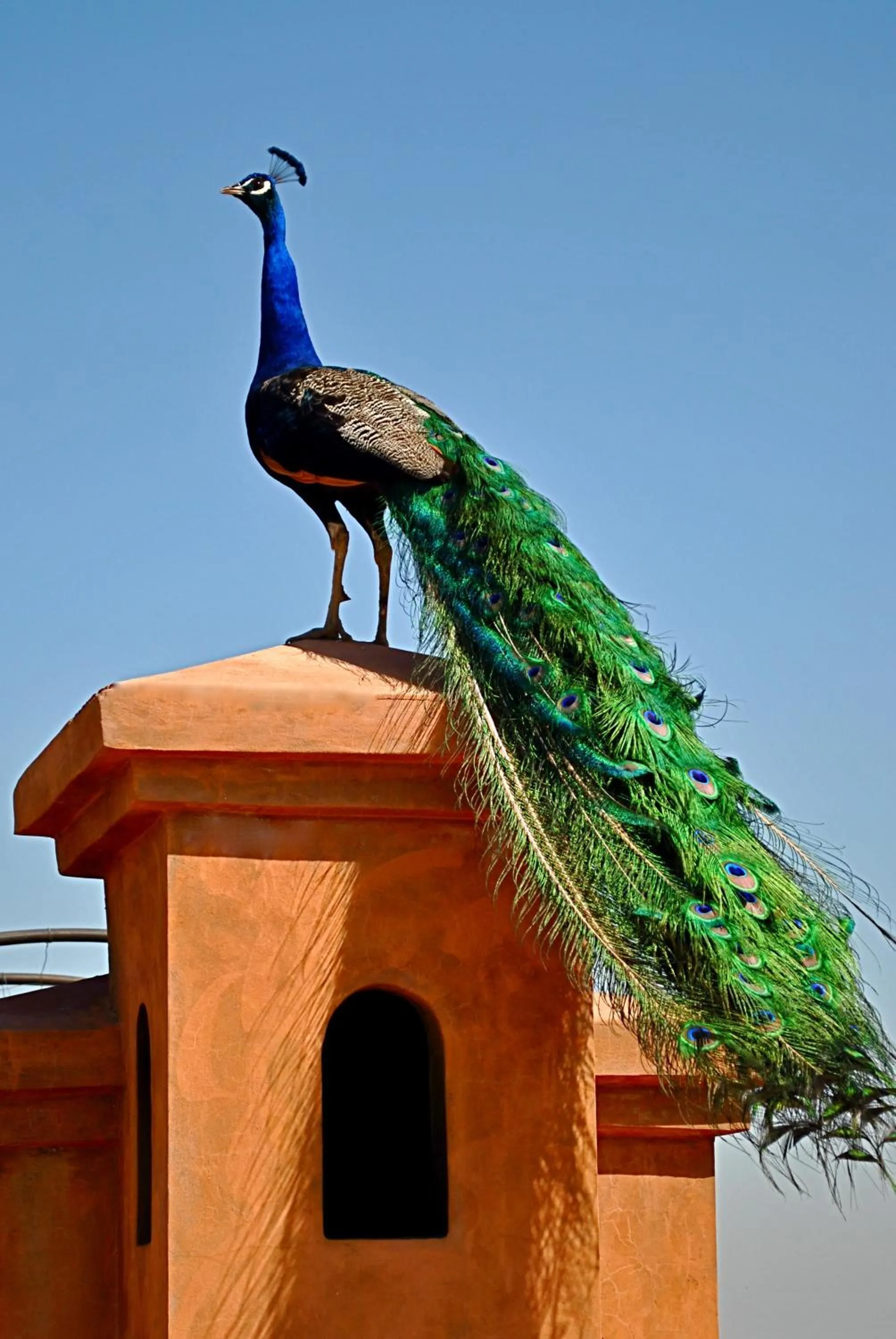 Other in Riad Al Mendili Private Resort & Spa