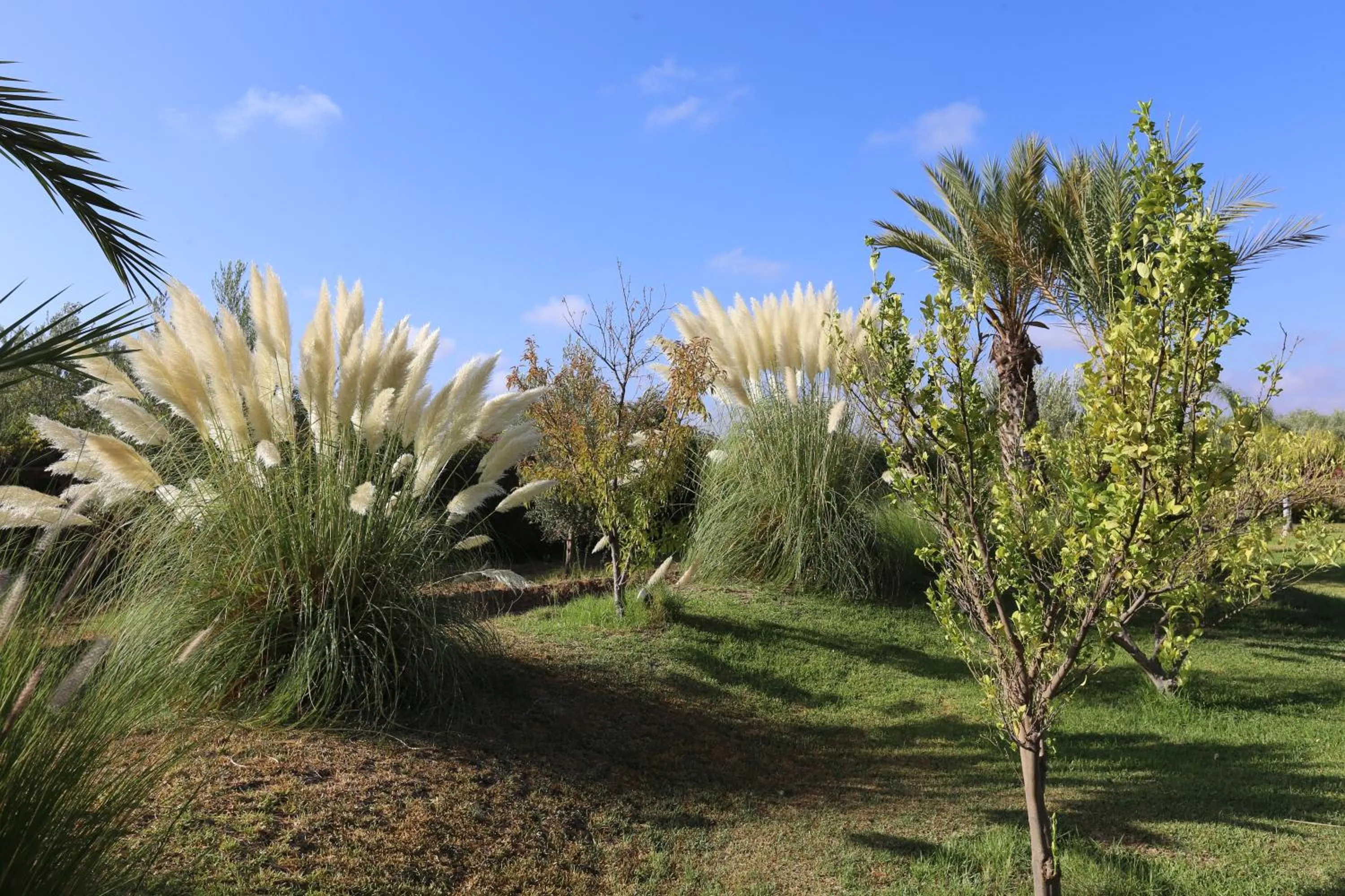 Garden in Riad Al Mendili Private Resort & Spa