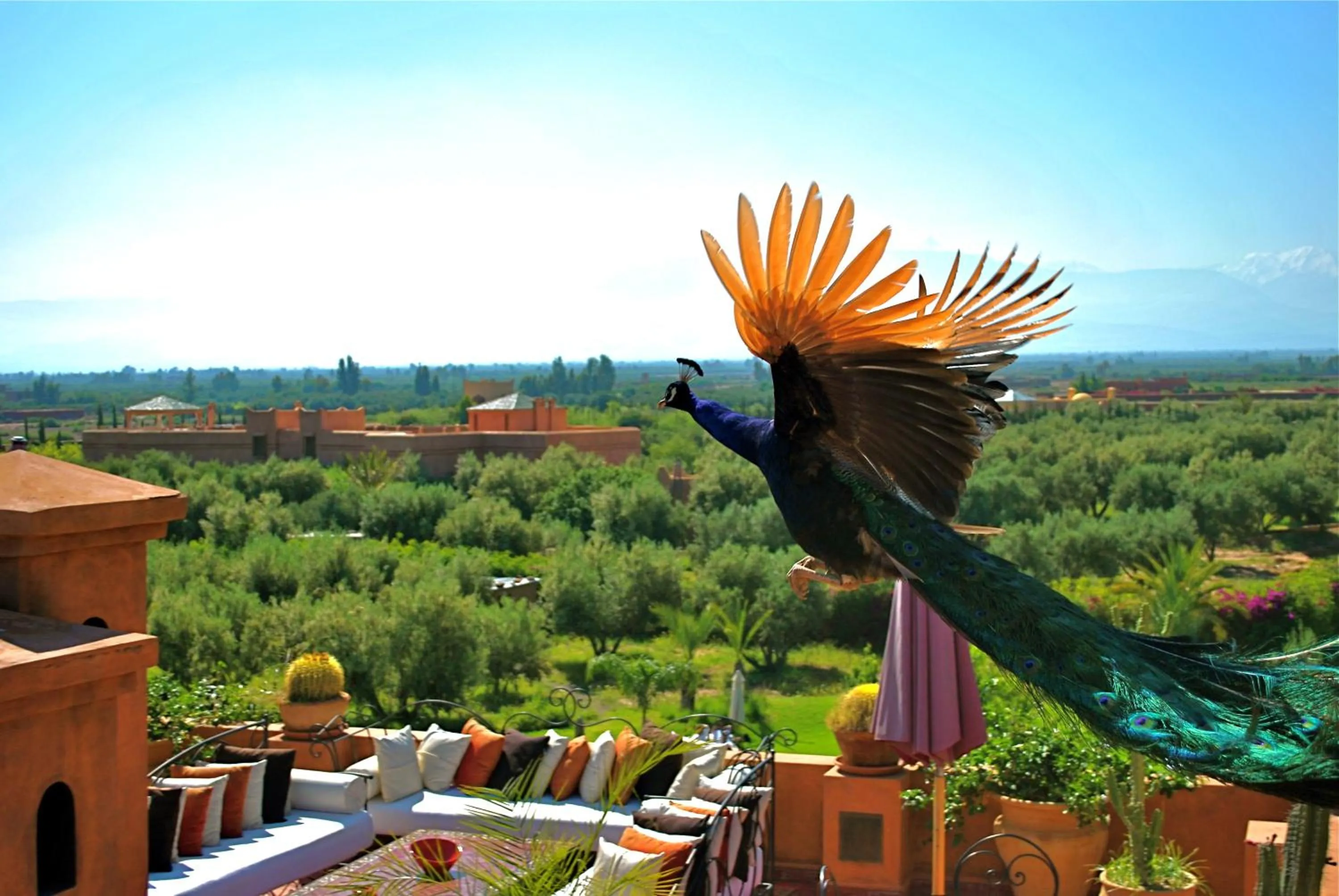 View (from property/room) in Riad Al Mendili Private Resort & Spa