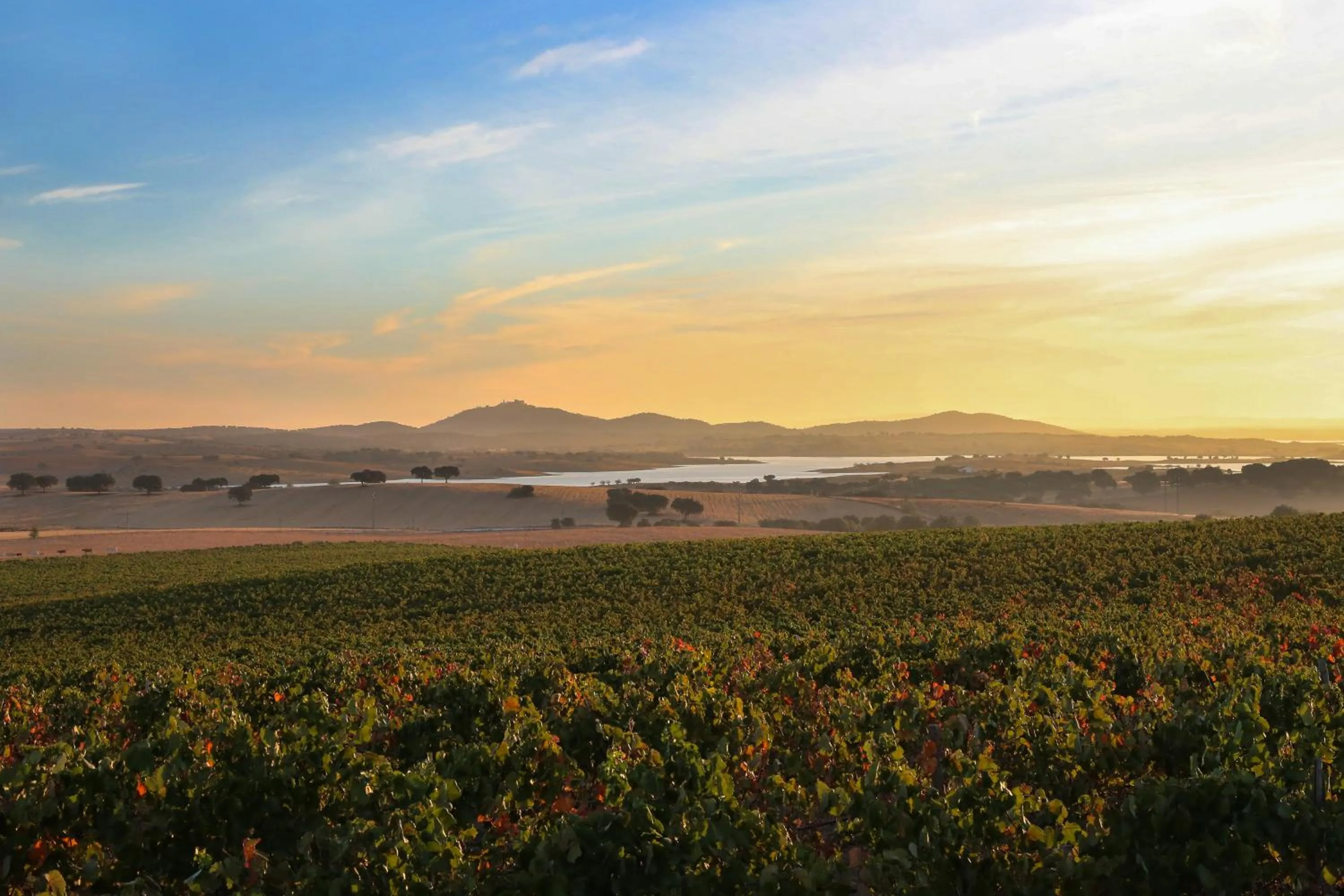 Natural landscape in Aladin Comfort Country Rooms