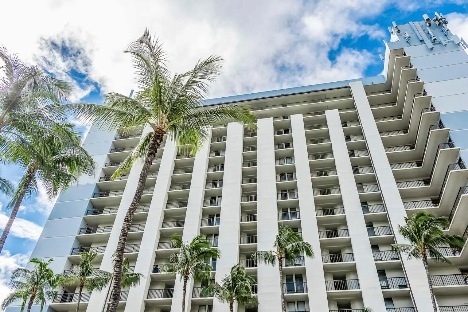 Hawaiian Princess Makaha