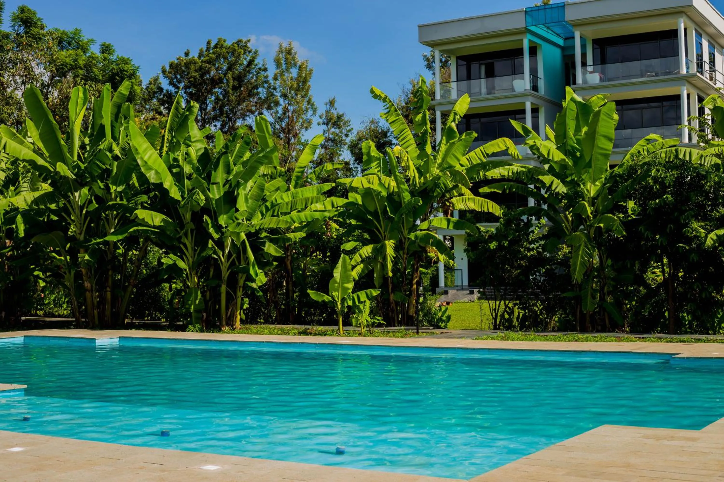 Swimming pool in Shose Farmhouse Chalets & Campsite