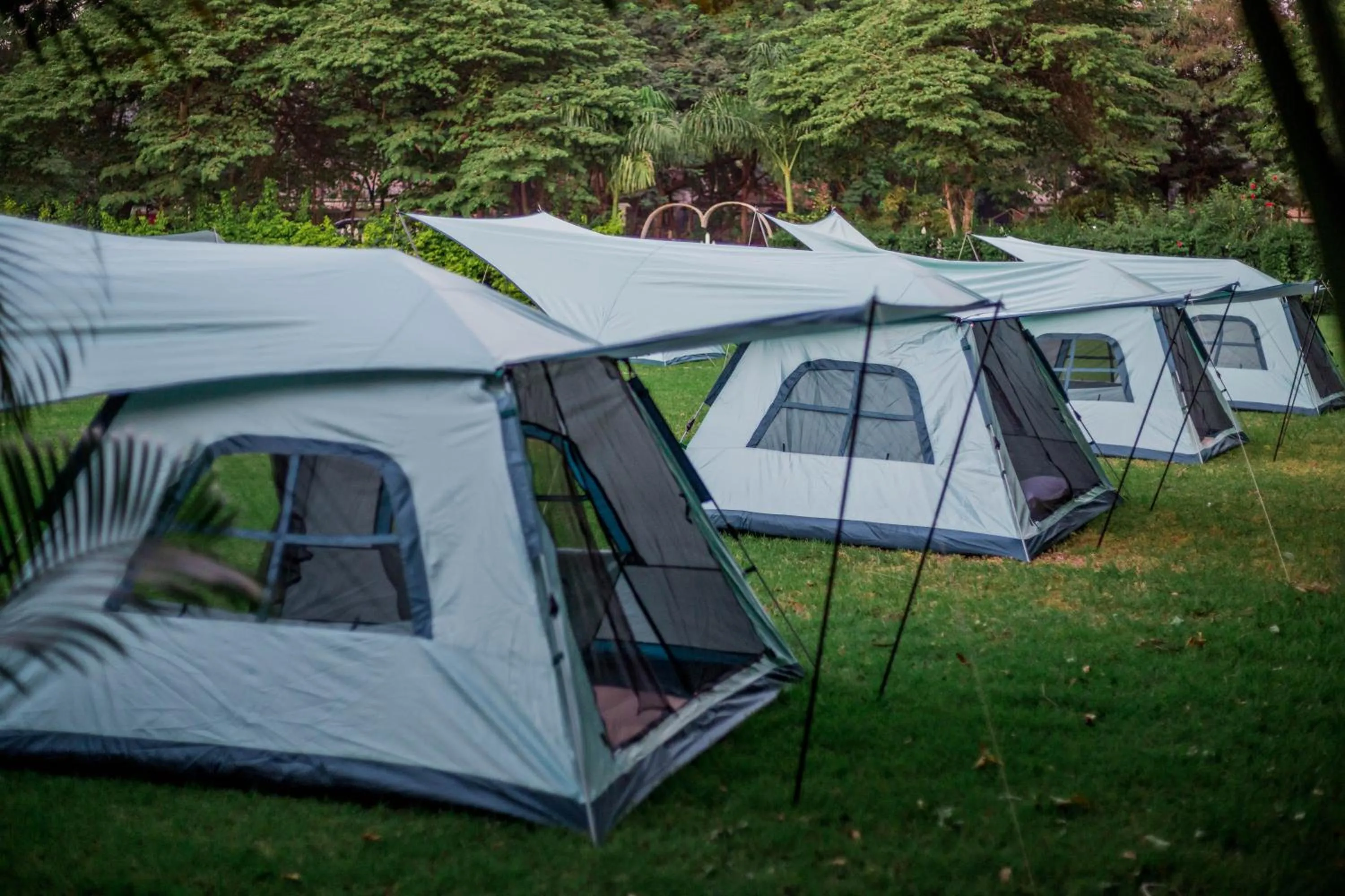 View (from property/room) in Shose Farmhouse Chalets & Campsite