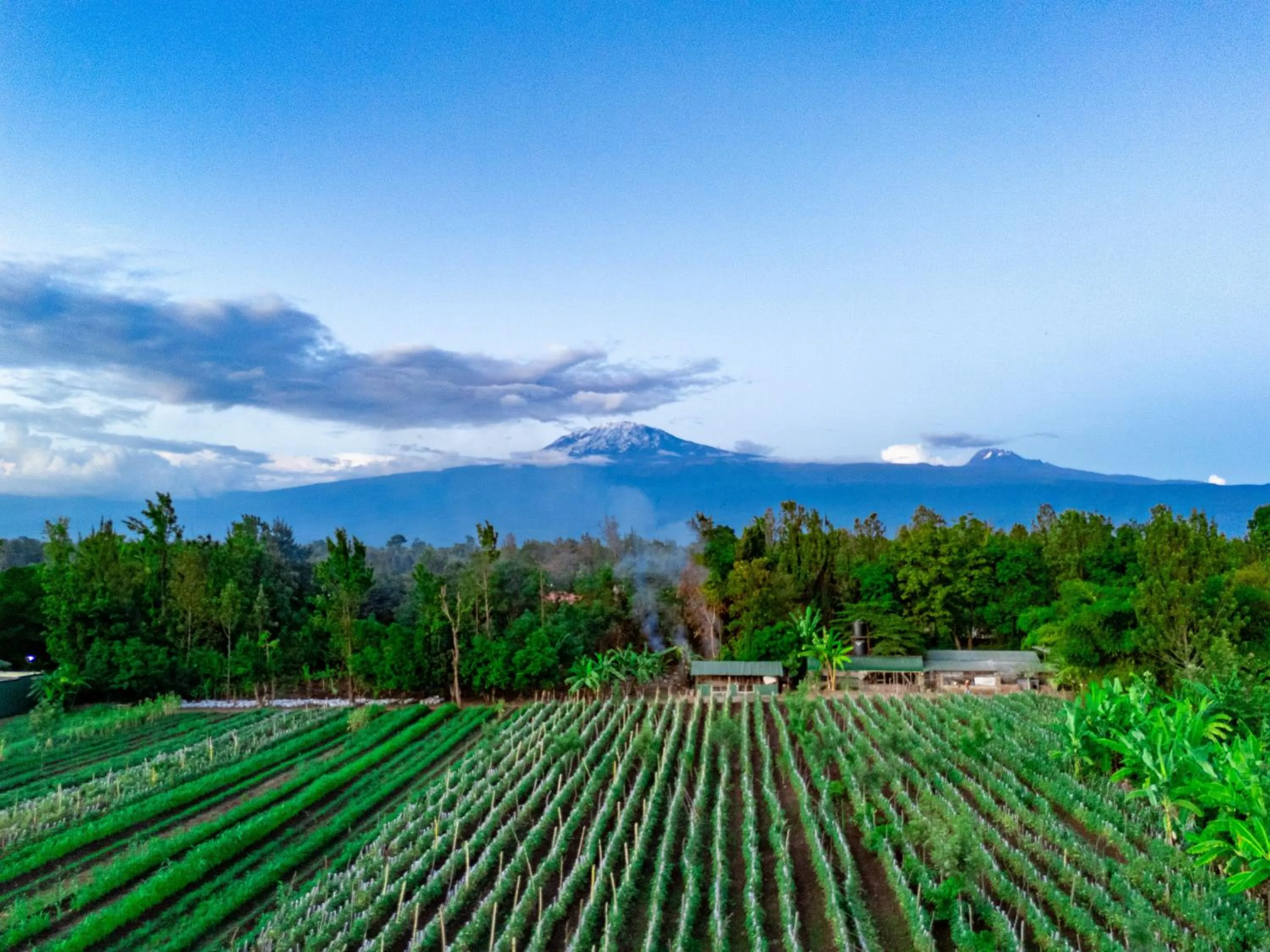 Mountain view in Shose Farmhouse Chalets & Campsite