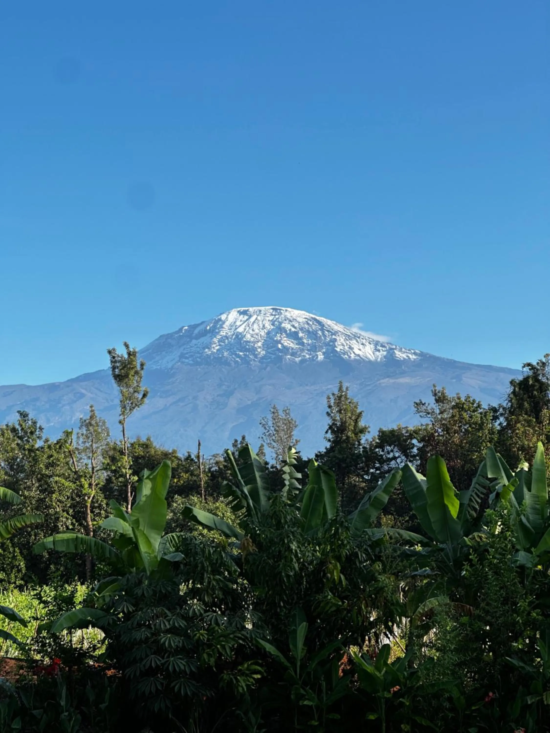 View (from property/room) in Shose Farmhouse Chalets & Campsite