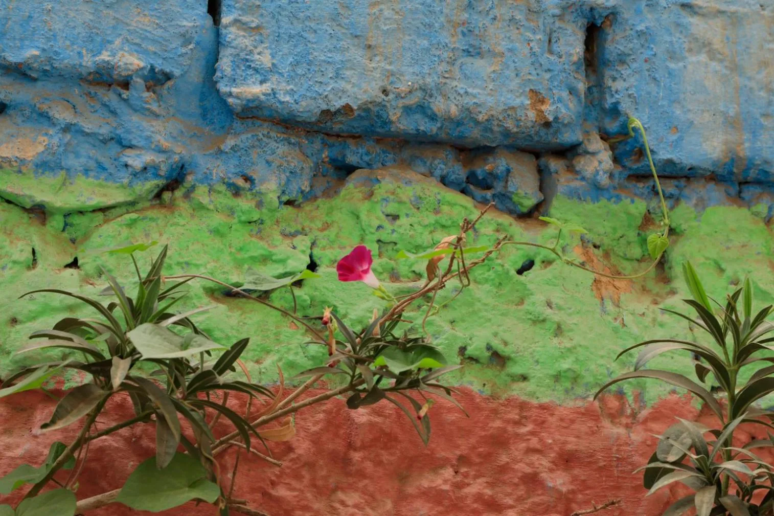 Riad Maryam Taroudant