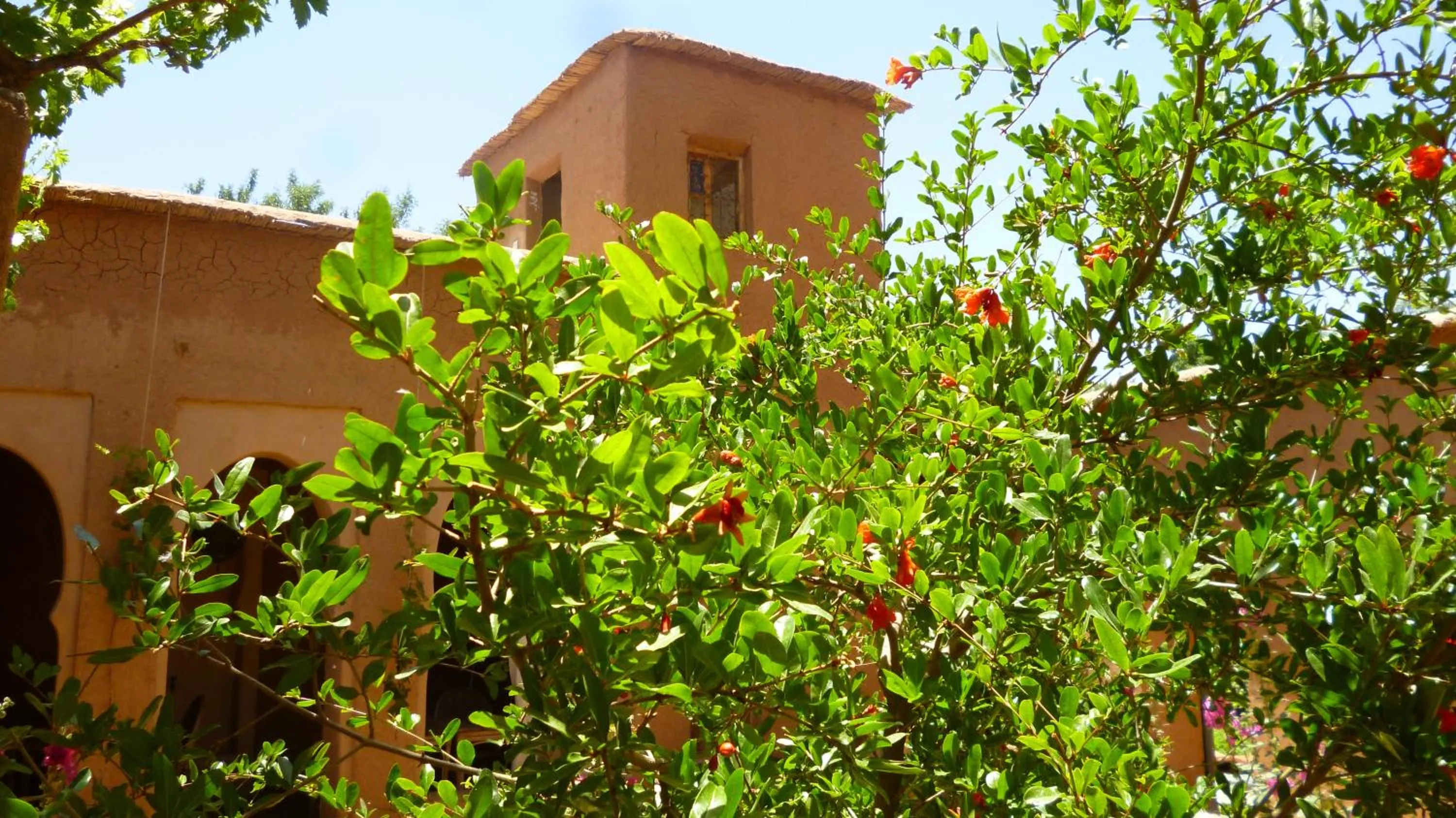 Kasbah ait Moussa