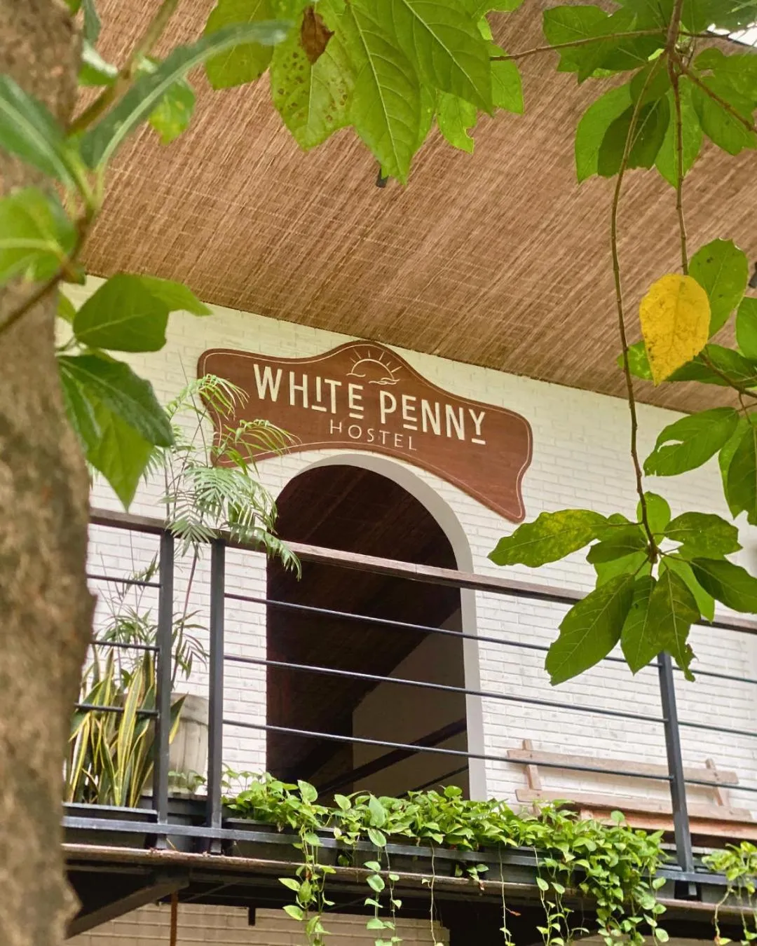 Property building in White Penny Hostel