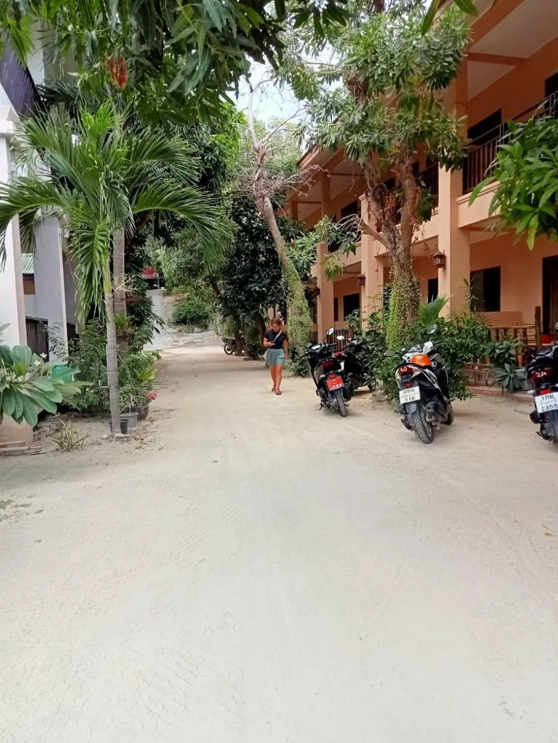 Garden view in Bank Guesthouse