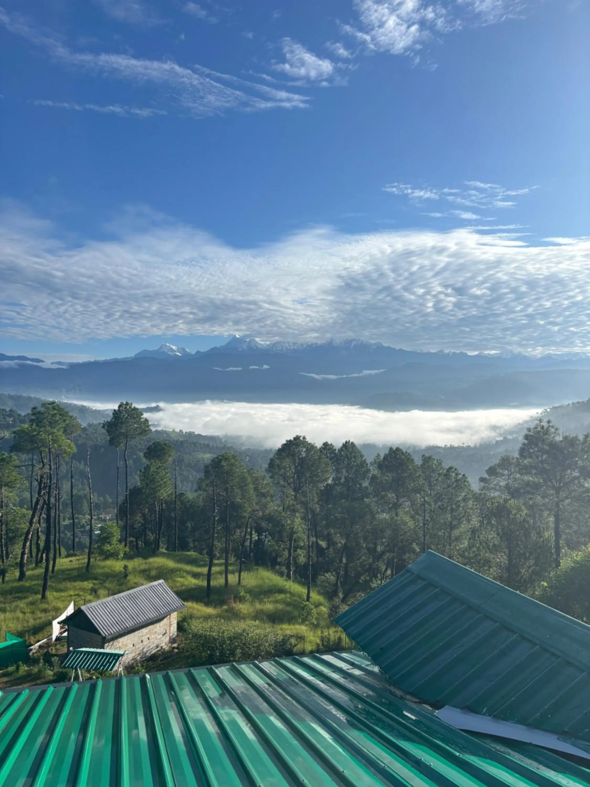 Lap Of Himalayas Resort