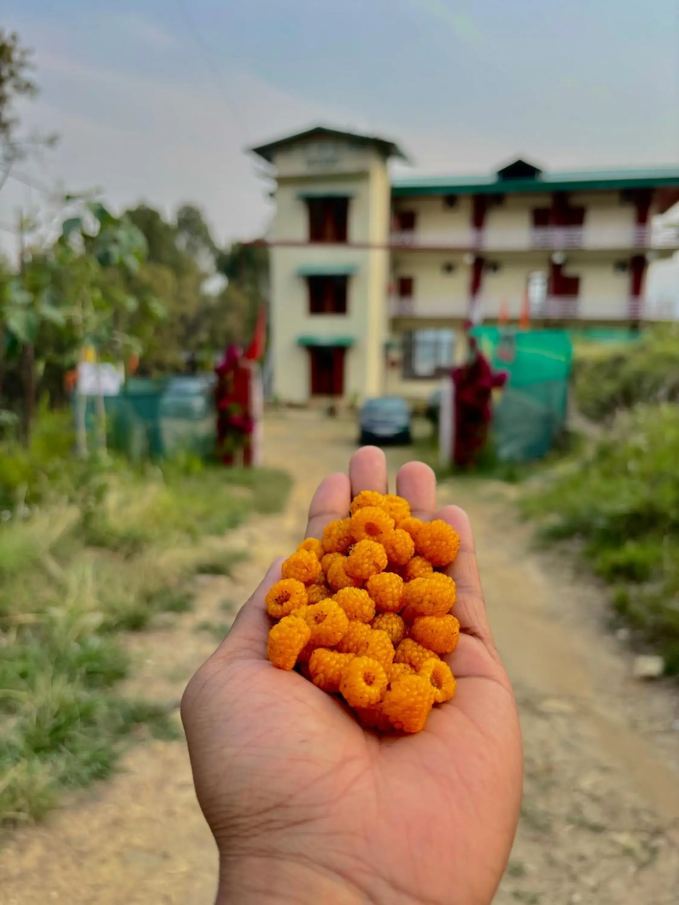 Property building in Lap Of Himalayas Resort Property building in Lap Of Himalayas Resort