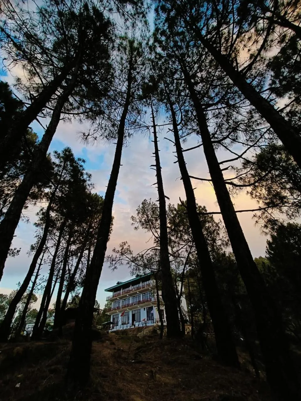 Lap Of Himalayas Resort