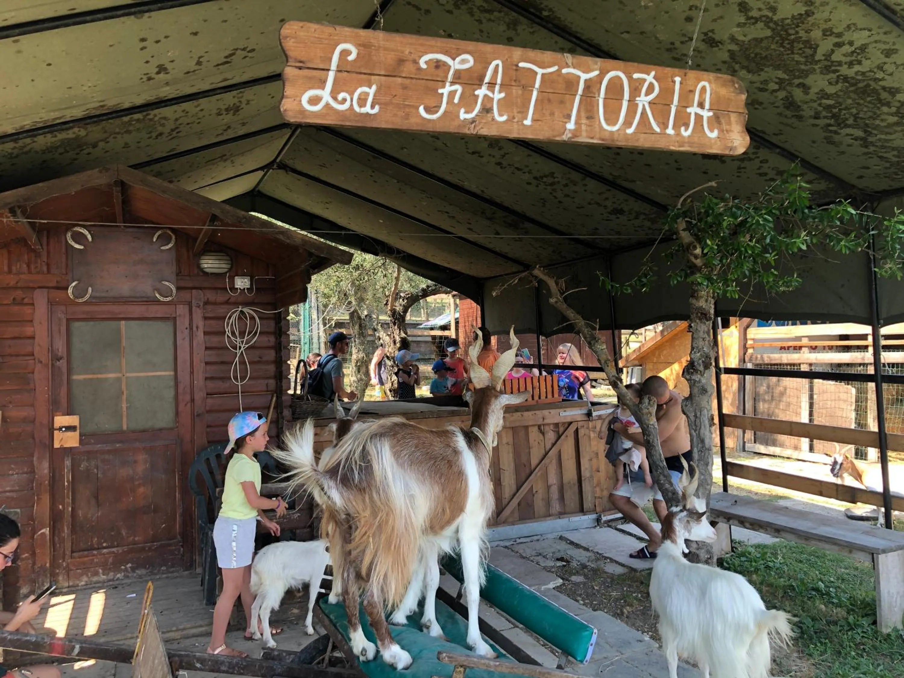 Activities in Garden Village San Marino