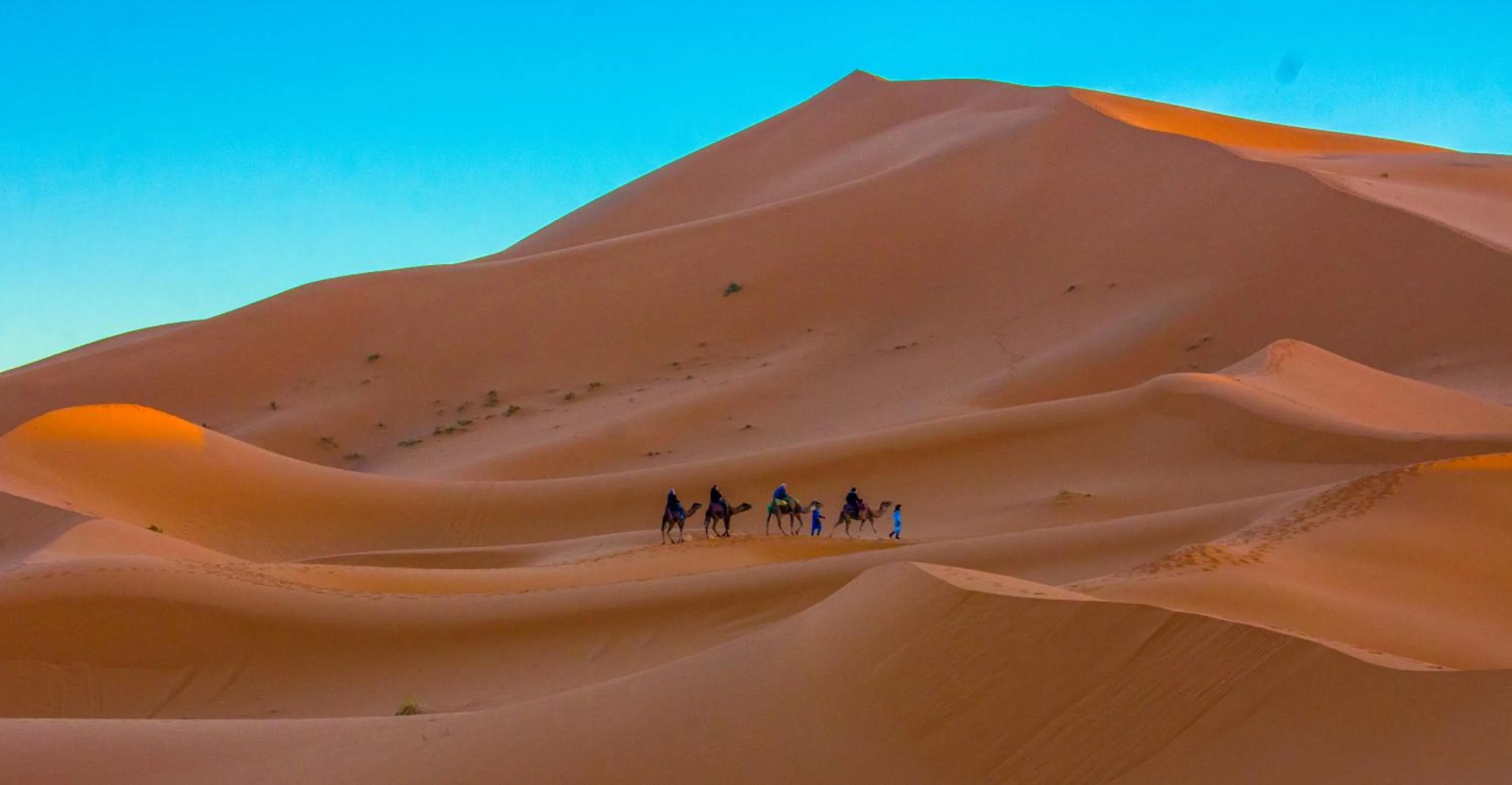 group of guests in Palais Du Desert Hotel & Spa
