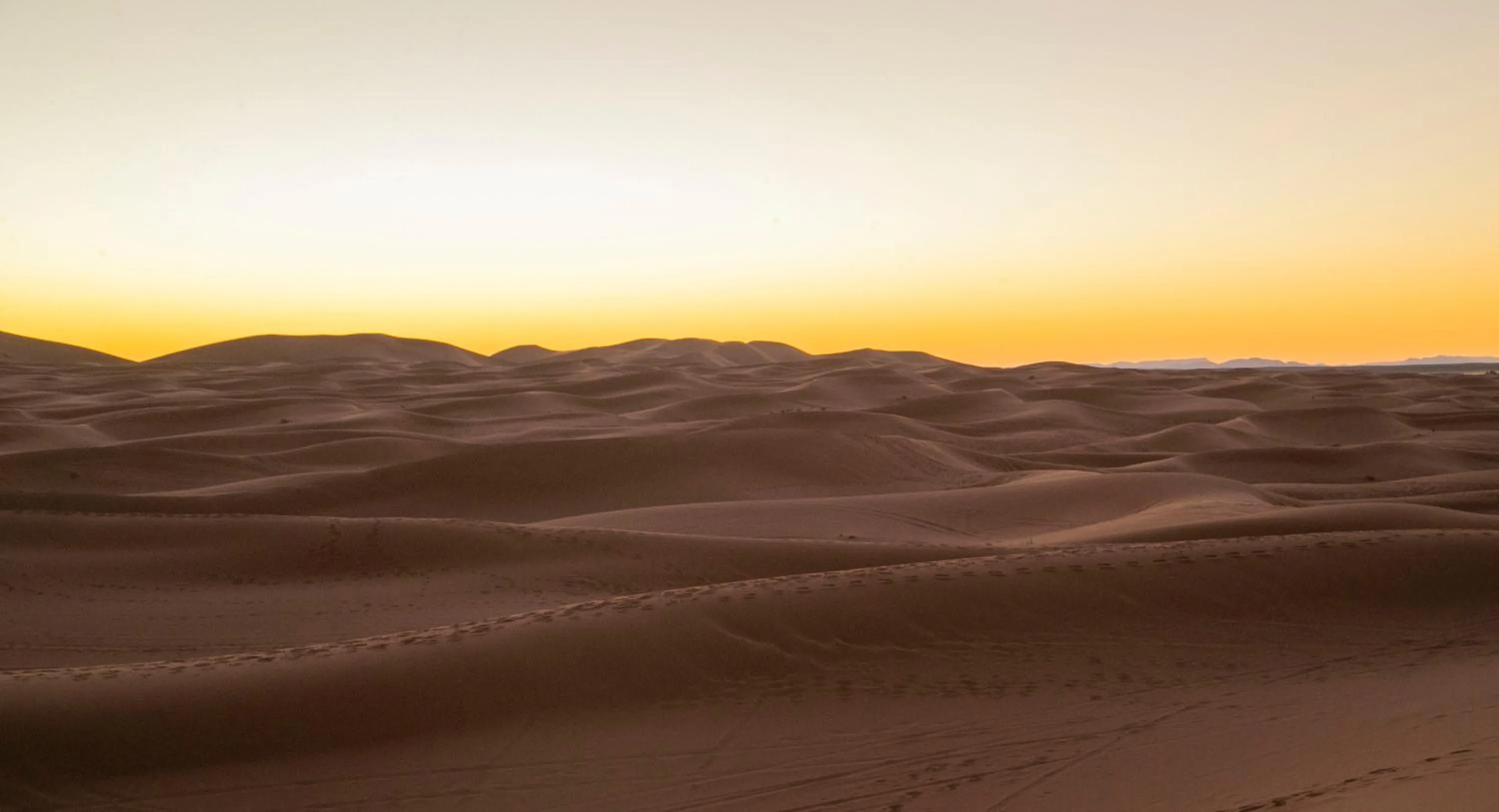 group of guests in Palais Du Desert Hotel & Spa