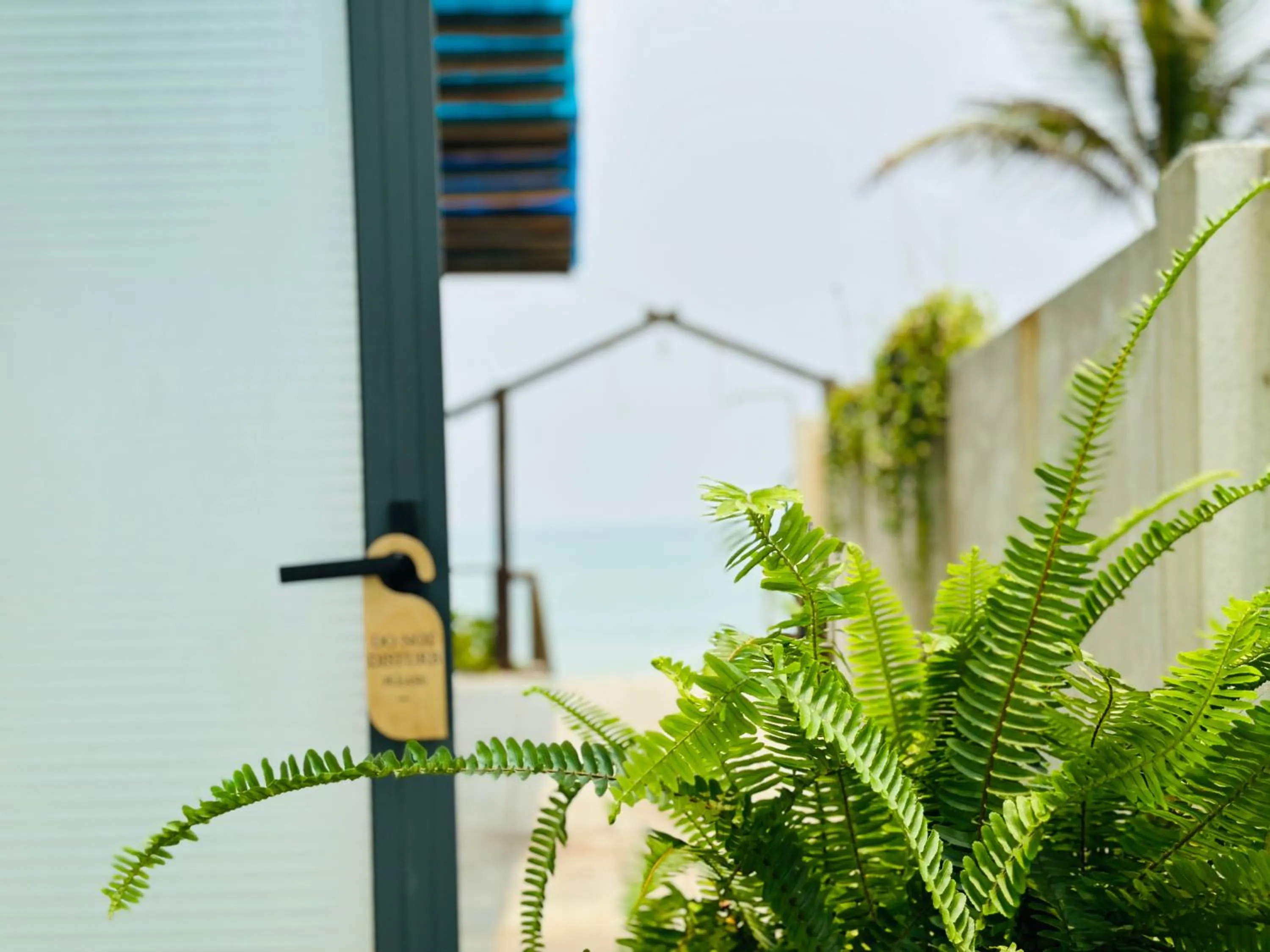 Garden view in Ben's House 3