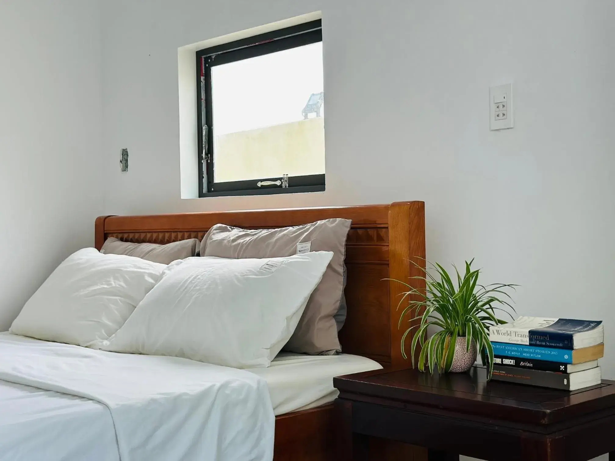 Double Room - single occupancy in Ben's House 3 Double Room - single occupancy in Ben's House 3