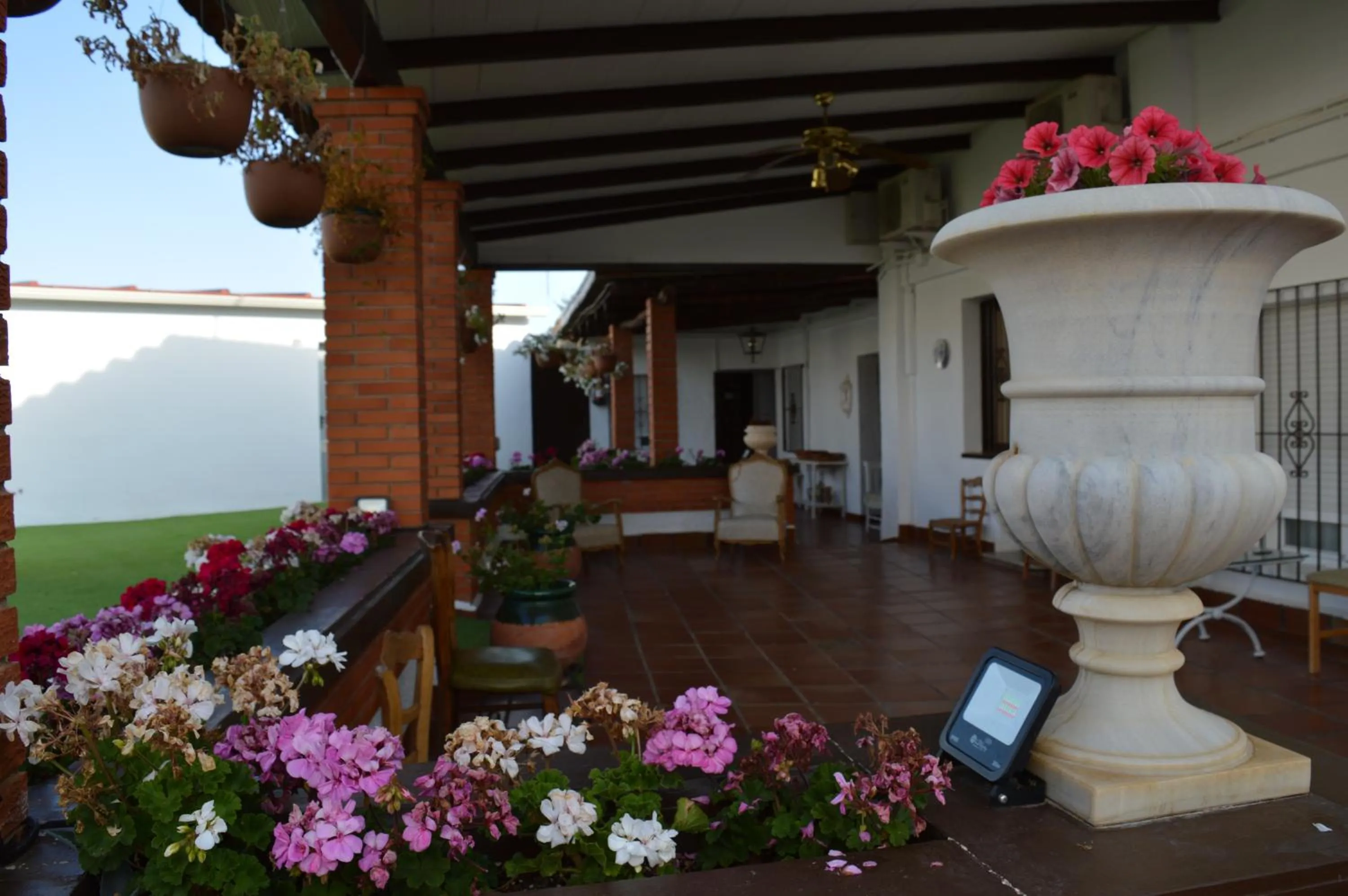Patio in Nuevo Hotel Capitolio