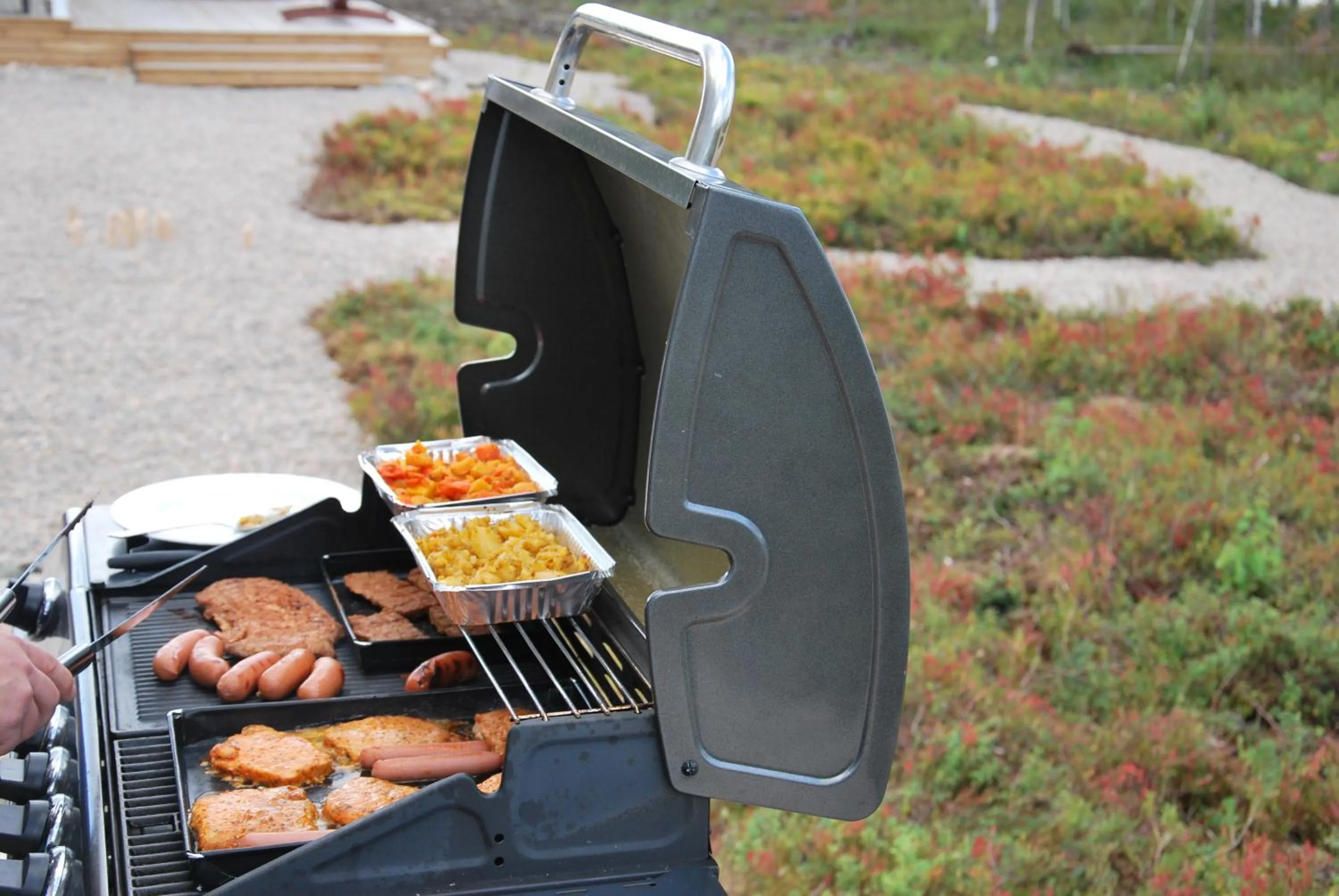 BBQ facilities in Villa Liipi