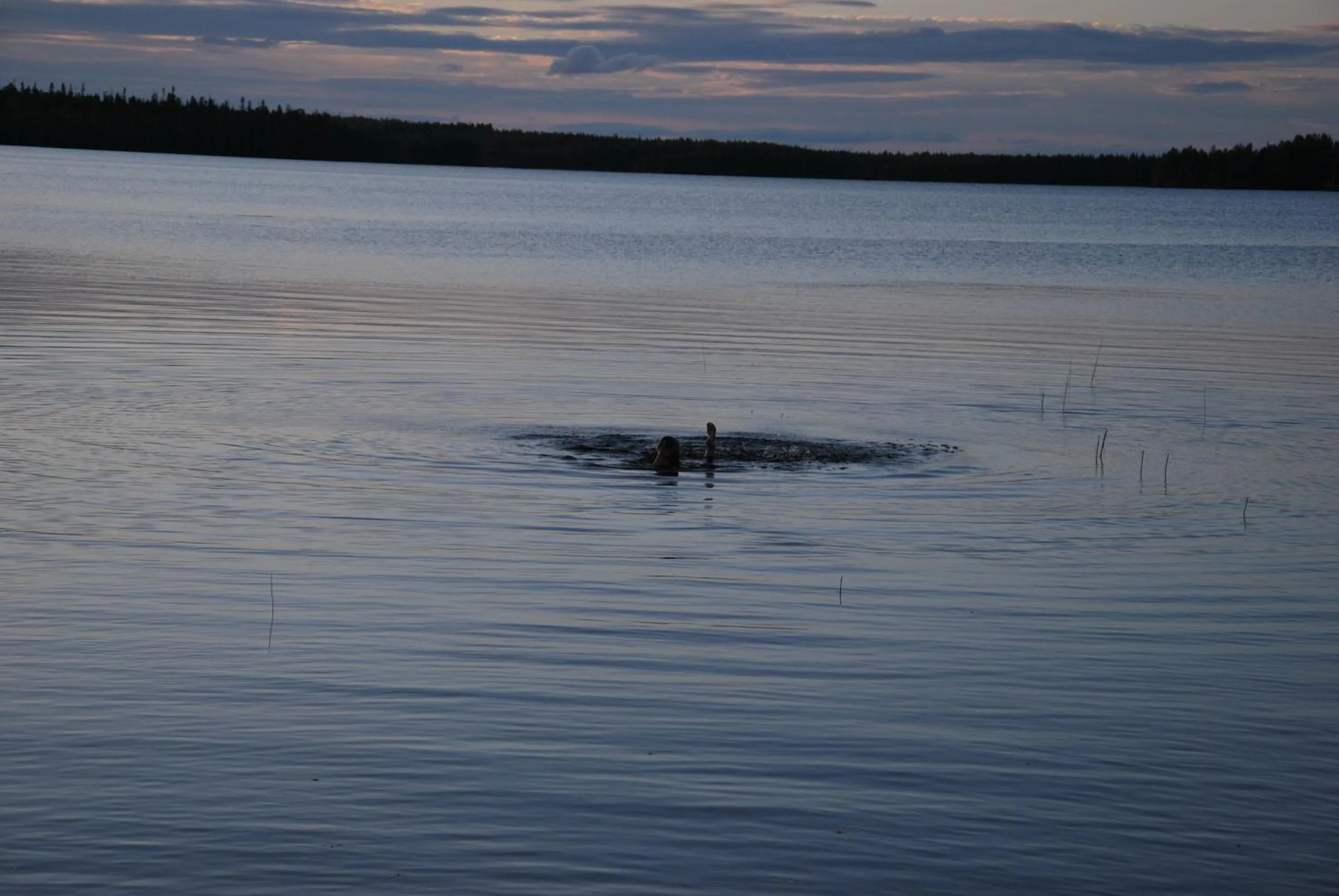 Activities in Villa Liipi