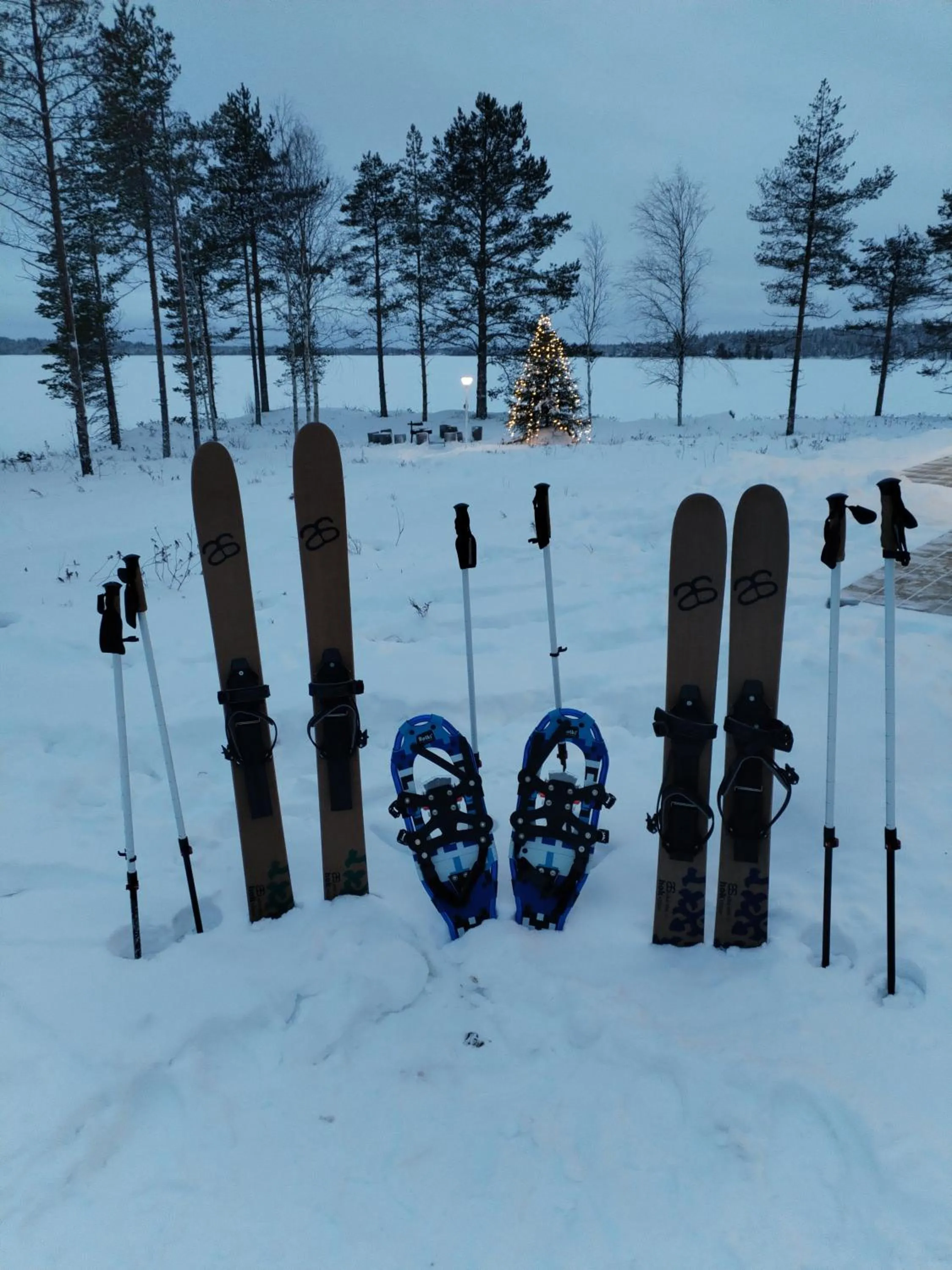 Activities in Villa Liipi