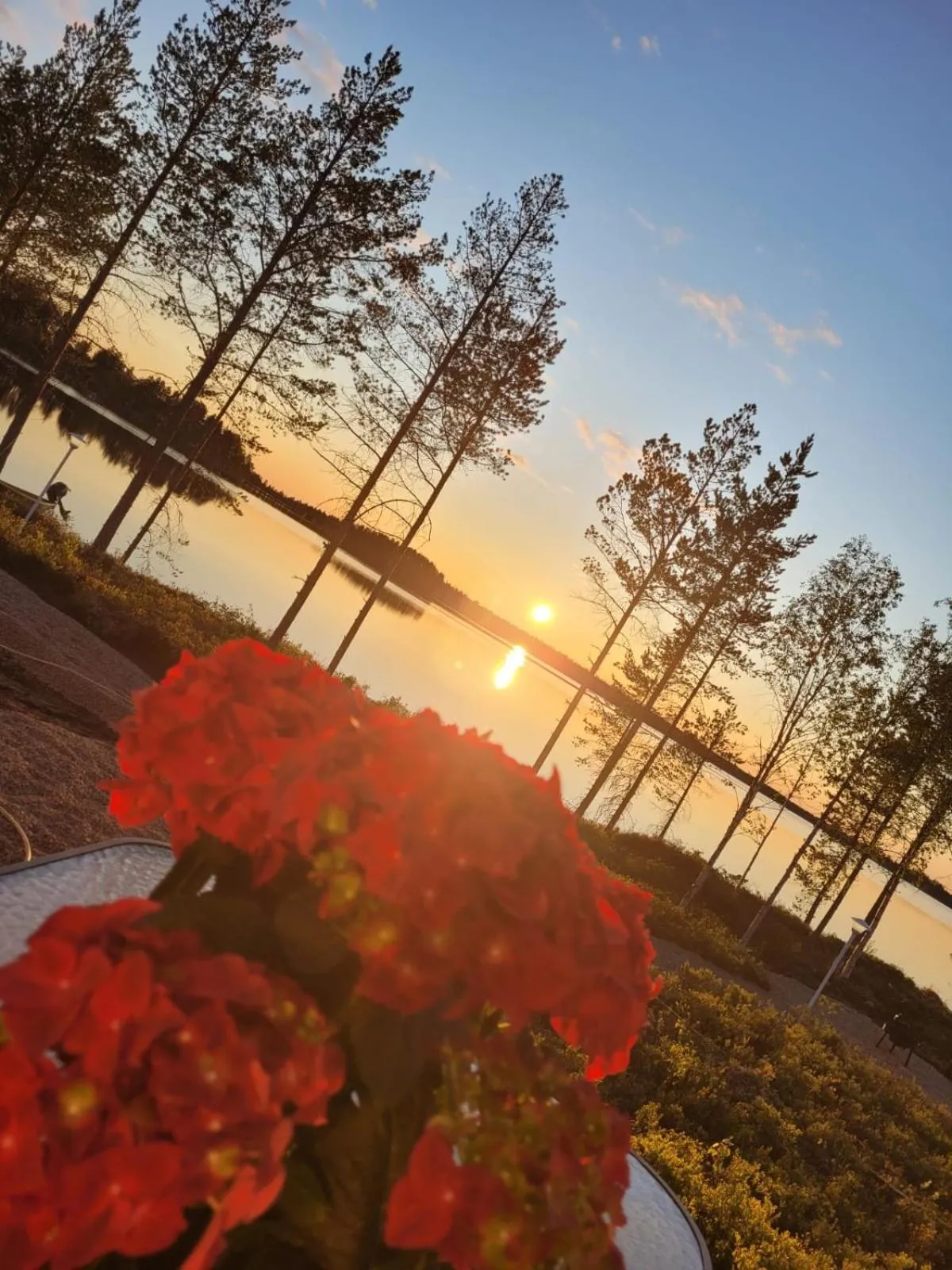 Lake view in Villa Liipi