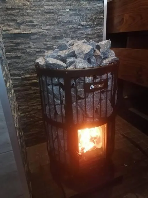 Sauna in Villa Liipi