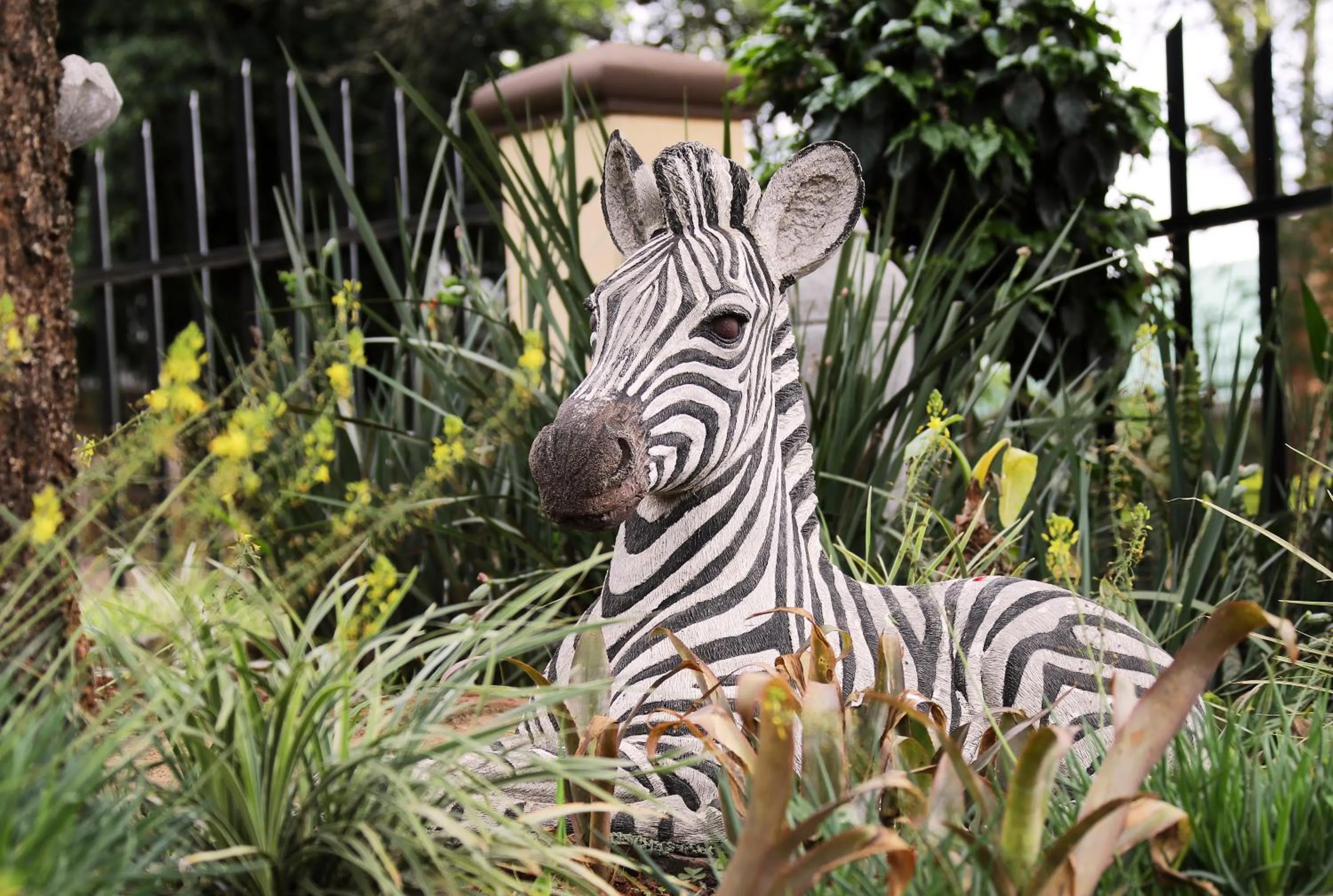 Garden view in Villa Ticino Guest House