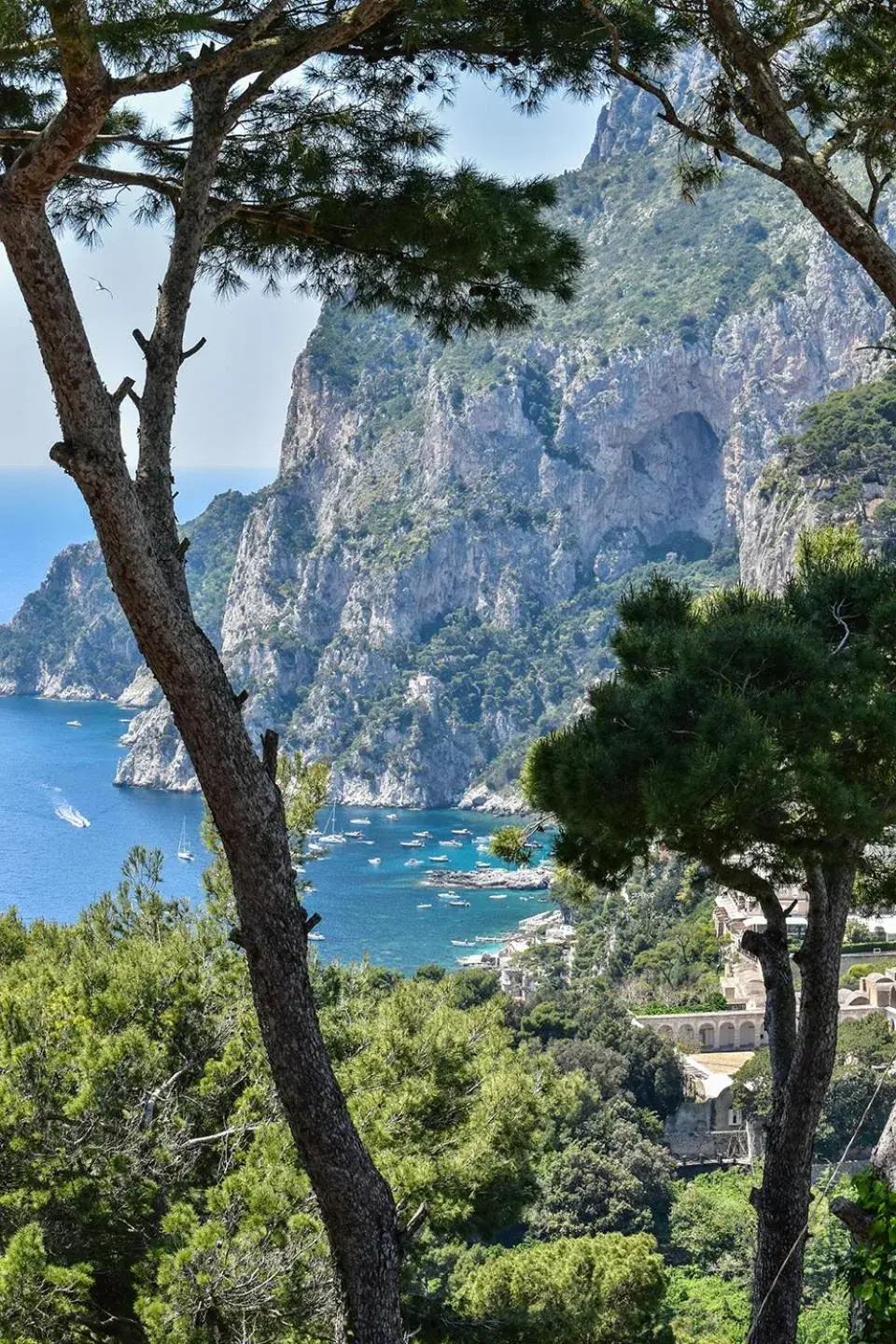 Sea view in Villa Lia Hotel Capri Sea view in Villa Lia Hotel Capri