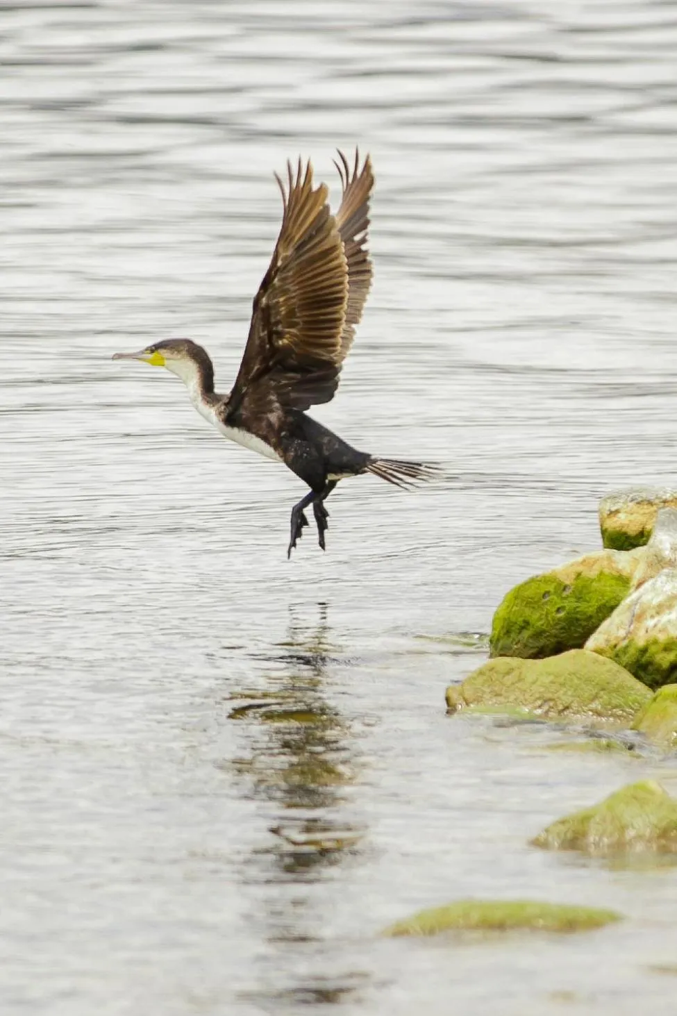 Lake view in Maravilla Kivu Eco Resort