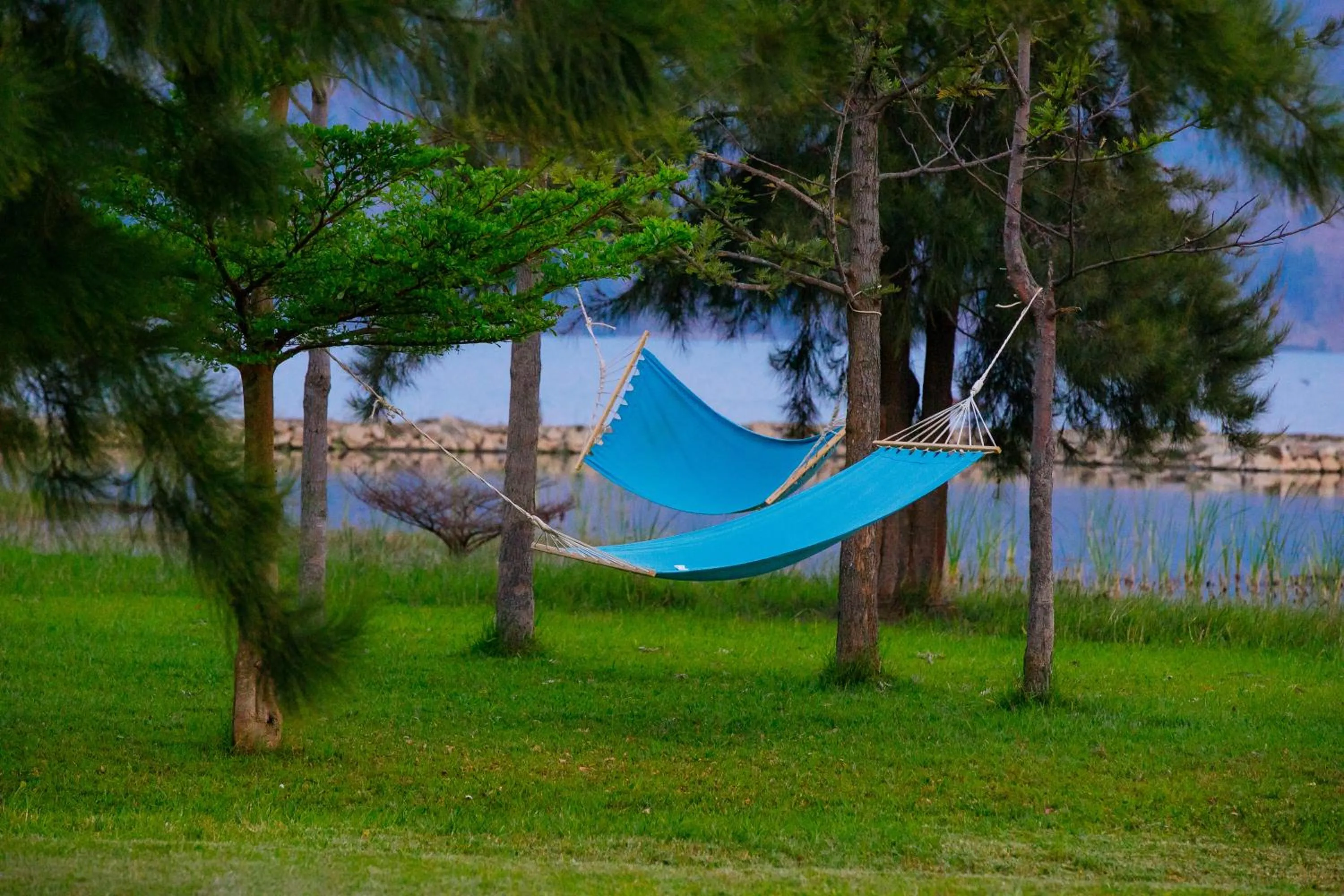 Communal lounge/ TV room in Maravilla Kivu Eco Resort