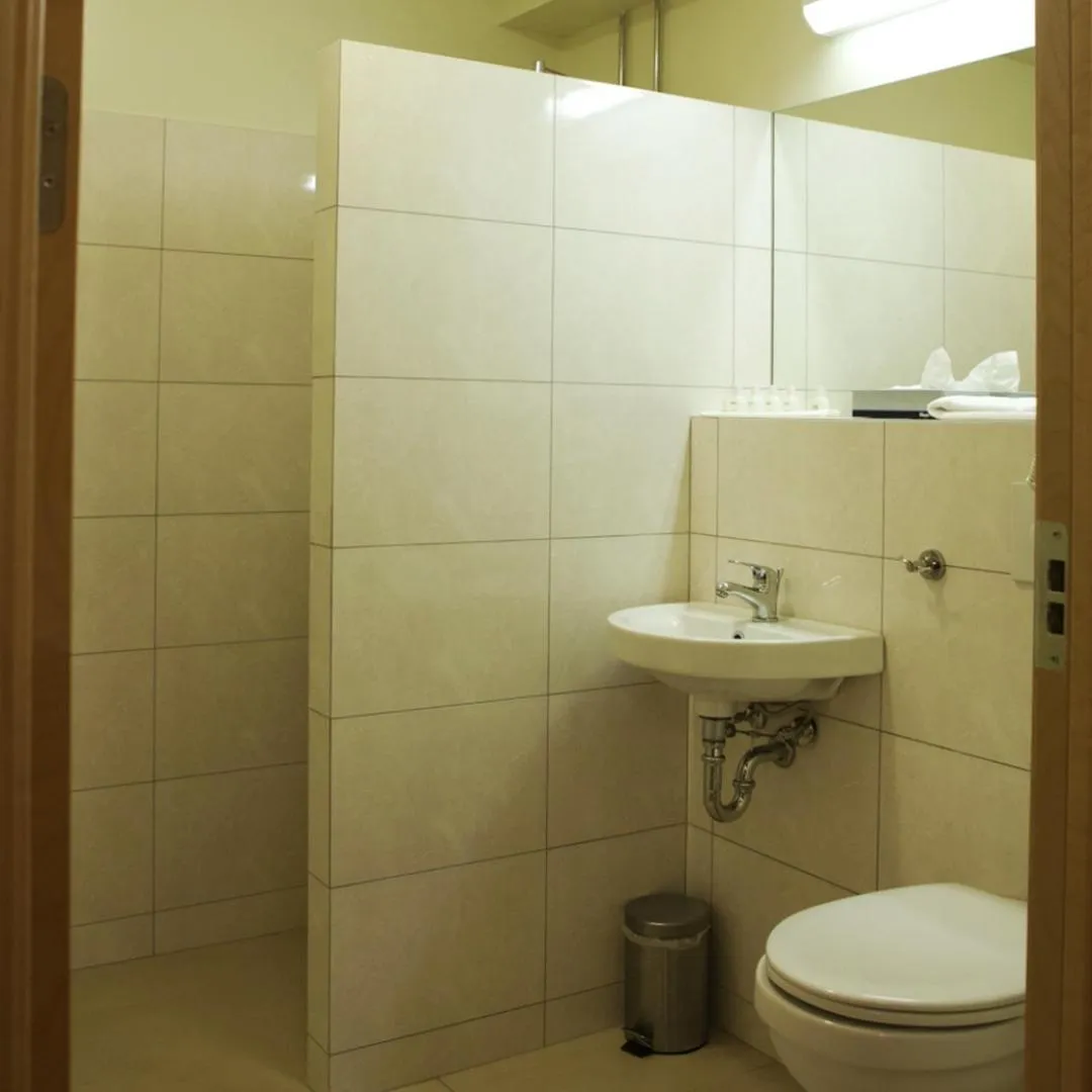 Toilet in Hotel Hallormsstadur