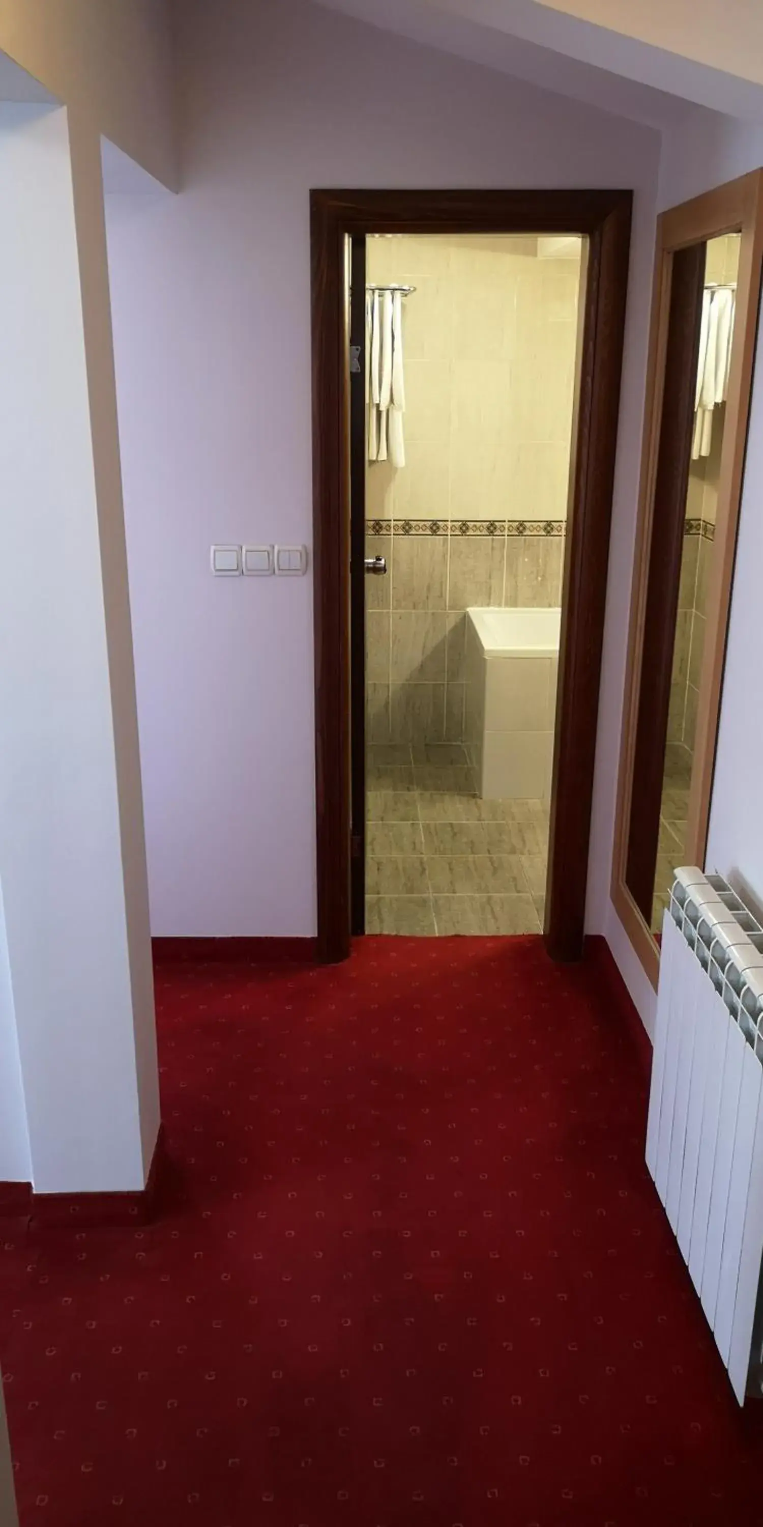 Suite in Hotel Elegance Suite in Hotel Elegance