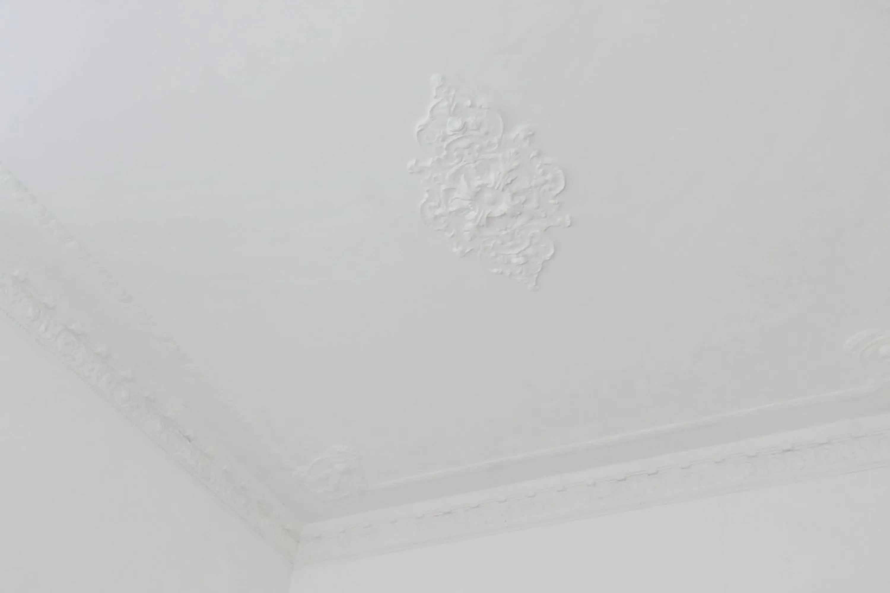 Decorative detail in Vatican Spacious Modì Apartment