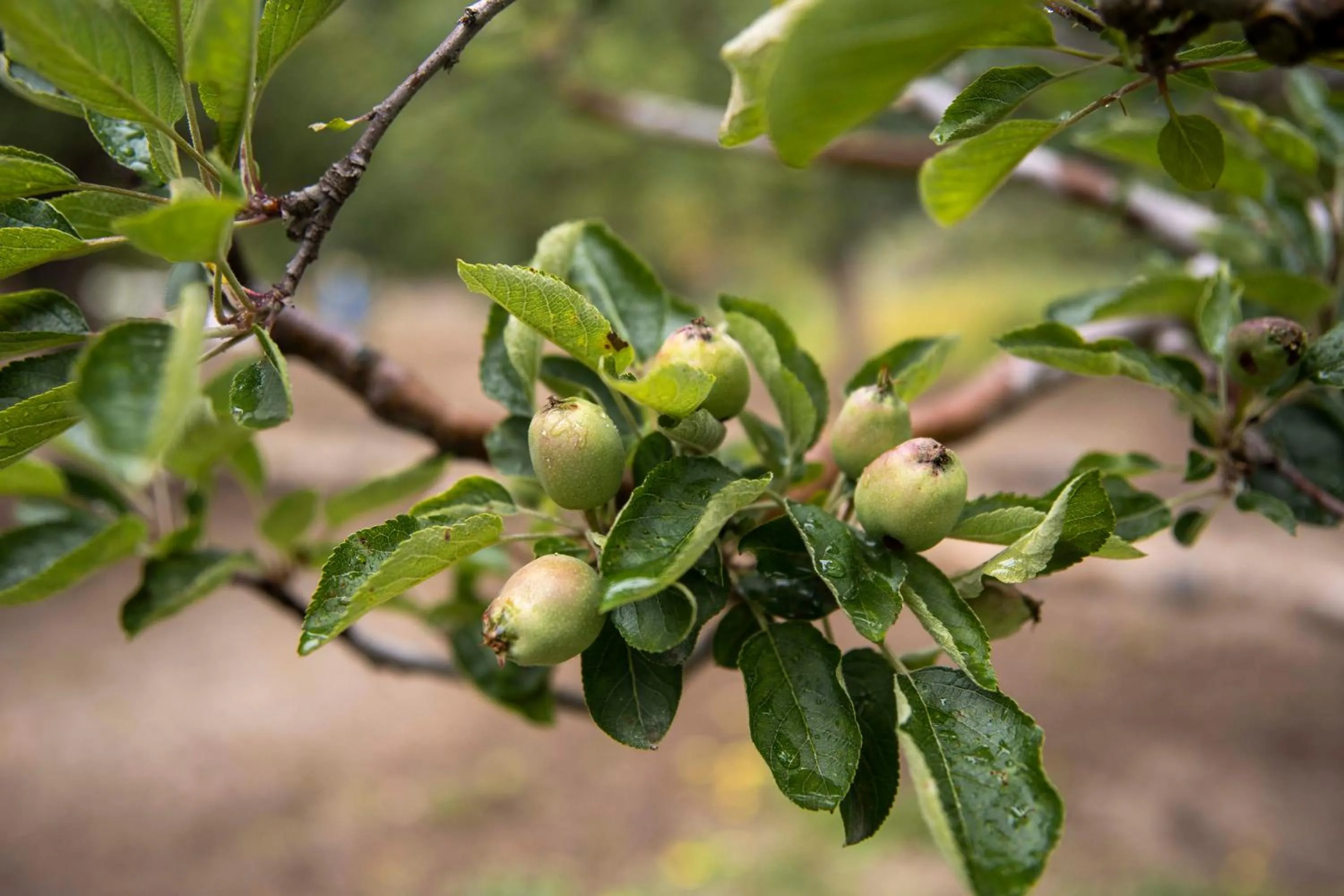 Natural landscape in The Kamru Riverside Camps and Resorts