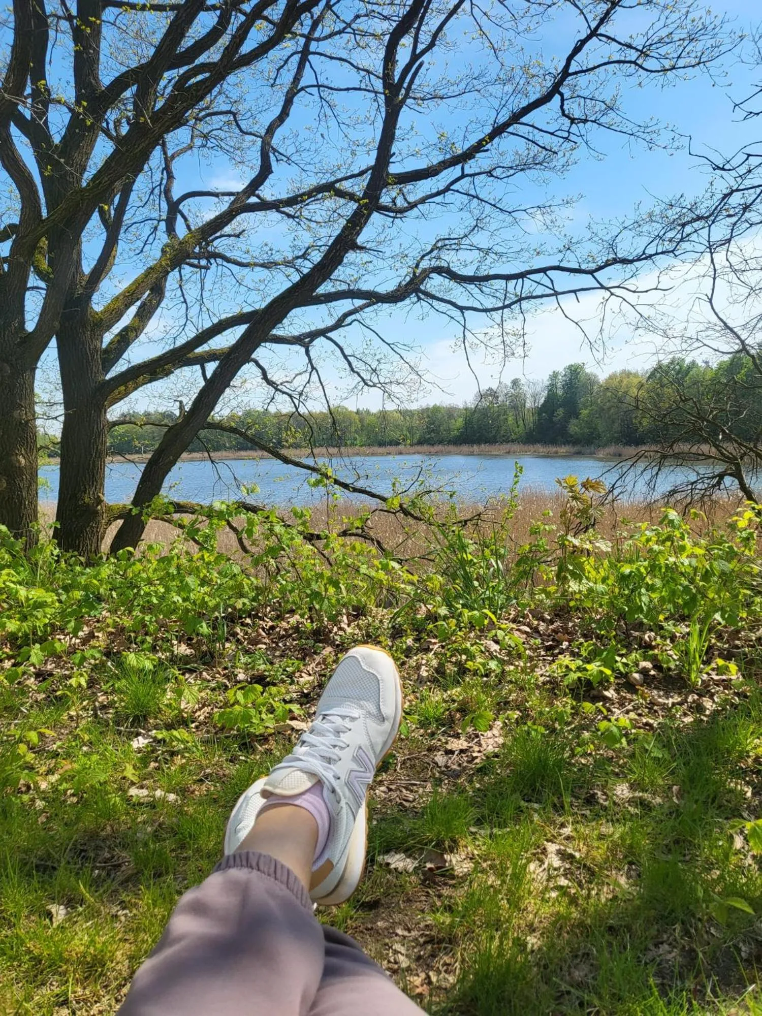 Przystań Natura