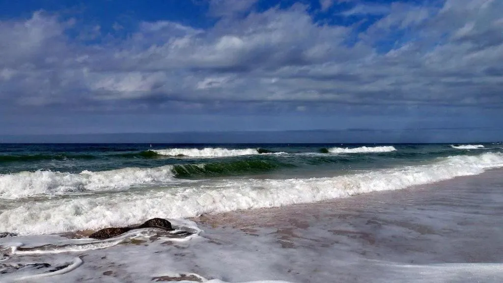 Beach Palms- Unit 102