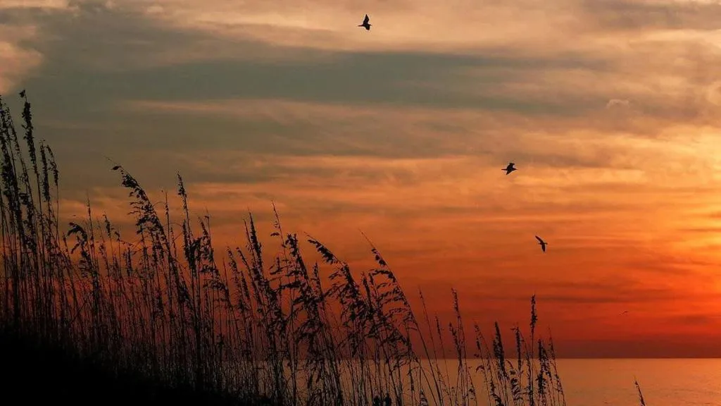 Beach Palms- Unit 102