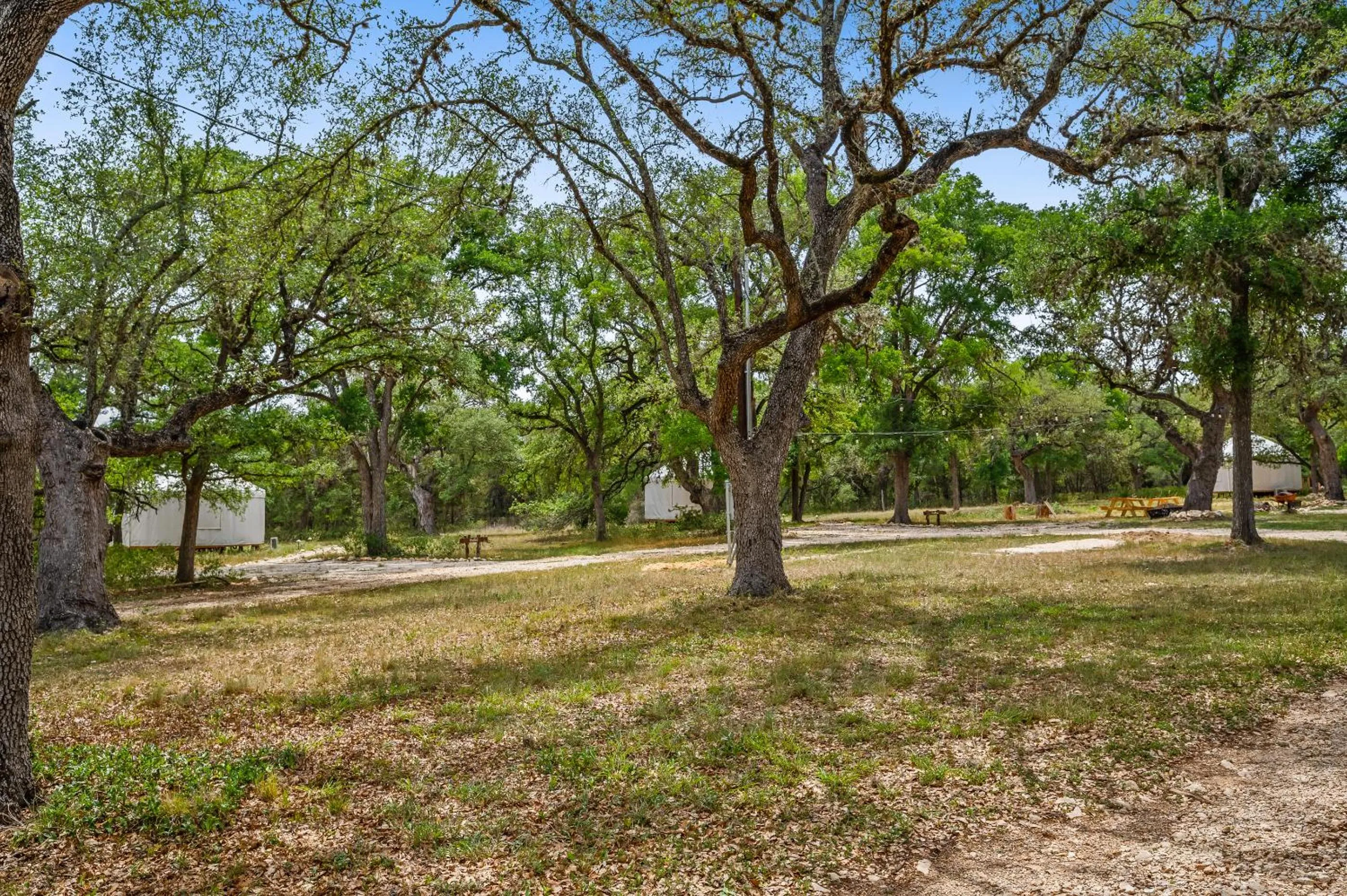 Other in OT 3515H Texas Yurt Haus Horned Frog