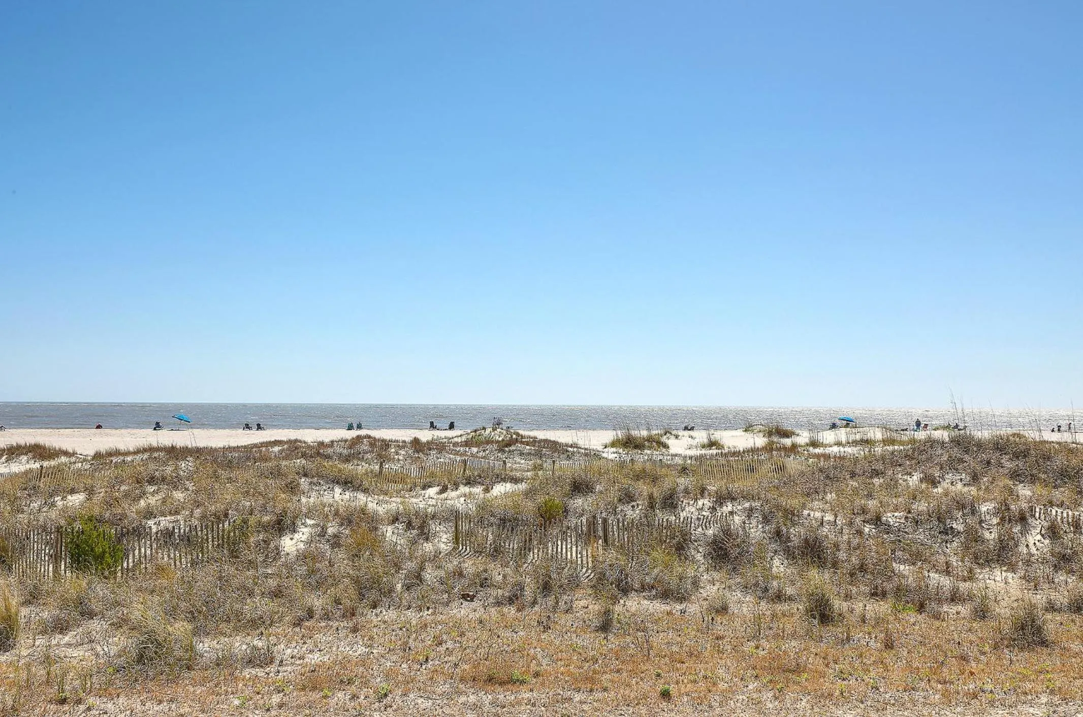 Natural landscape in New Listing! Port O' Call B103 - Oceanfront Oasis!