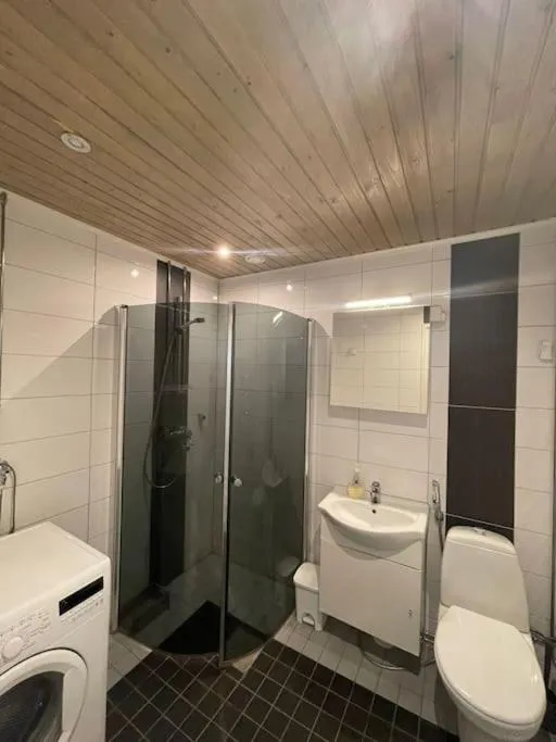Shower in Studio Sagittarius Arctic Circle