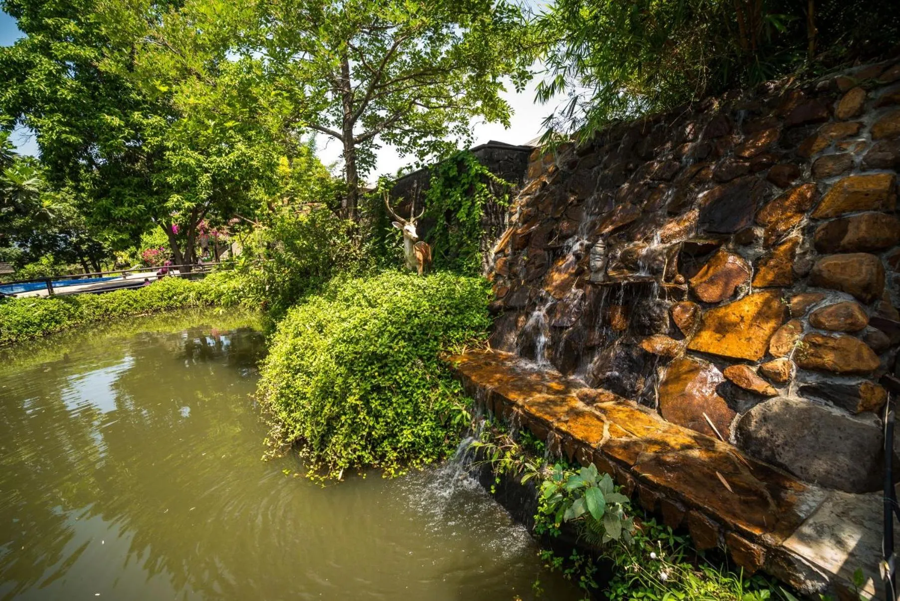 Lake view in Malhar Machi Mountain Resorts